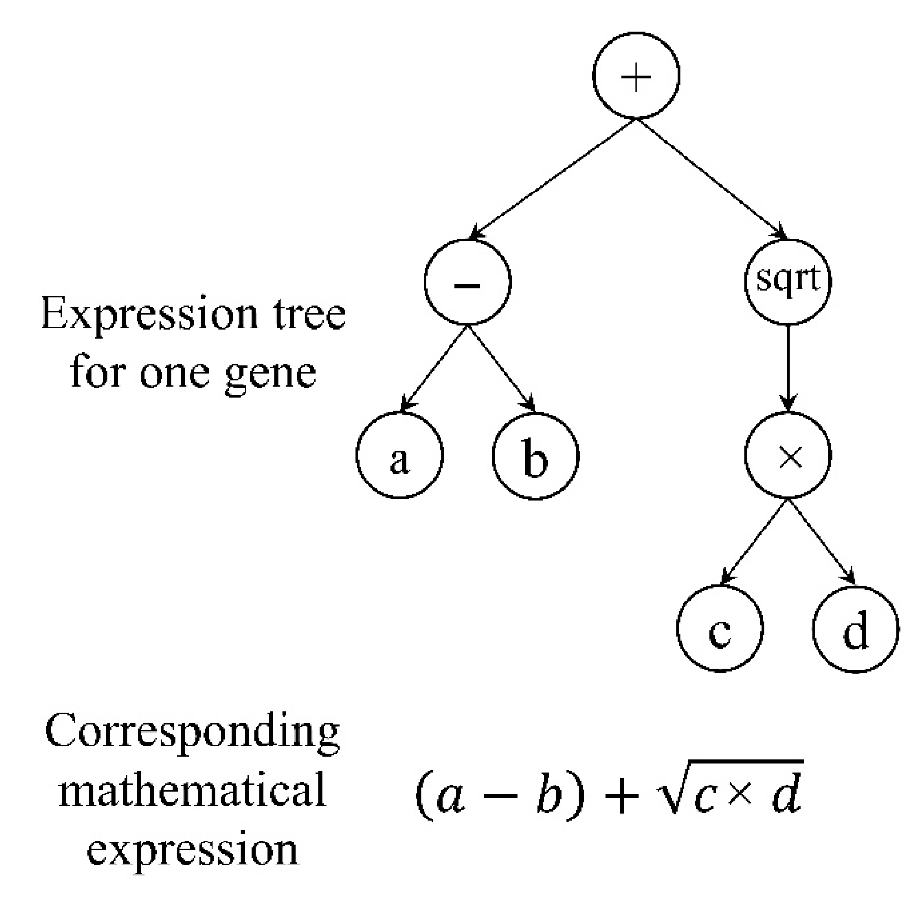 Sustainability 14 15609 g006