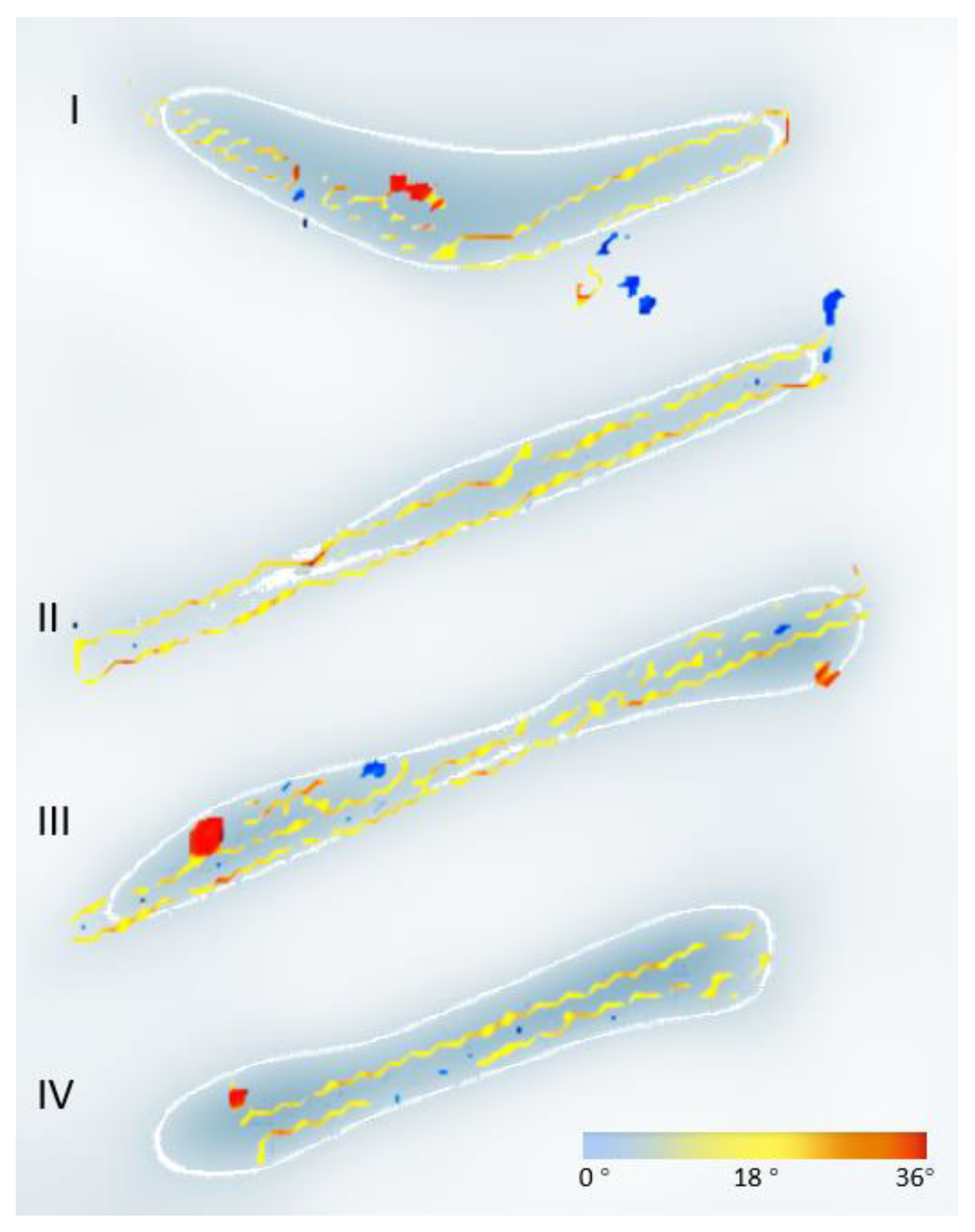 Sustainability 14 15612 g010