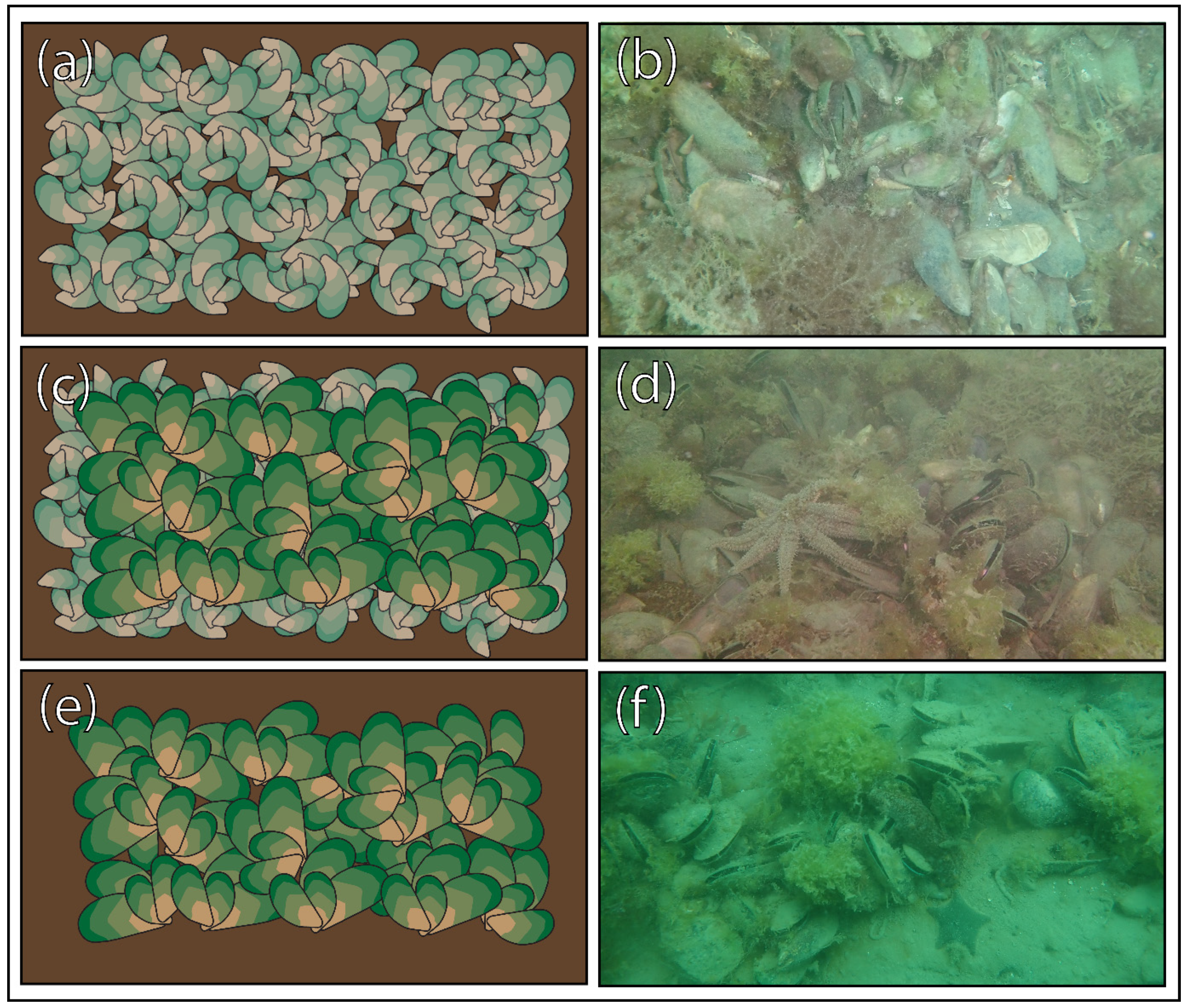 Sustainability 14 15746 g002