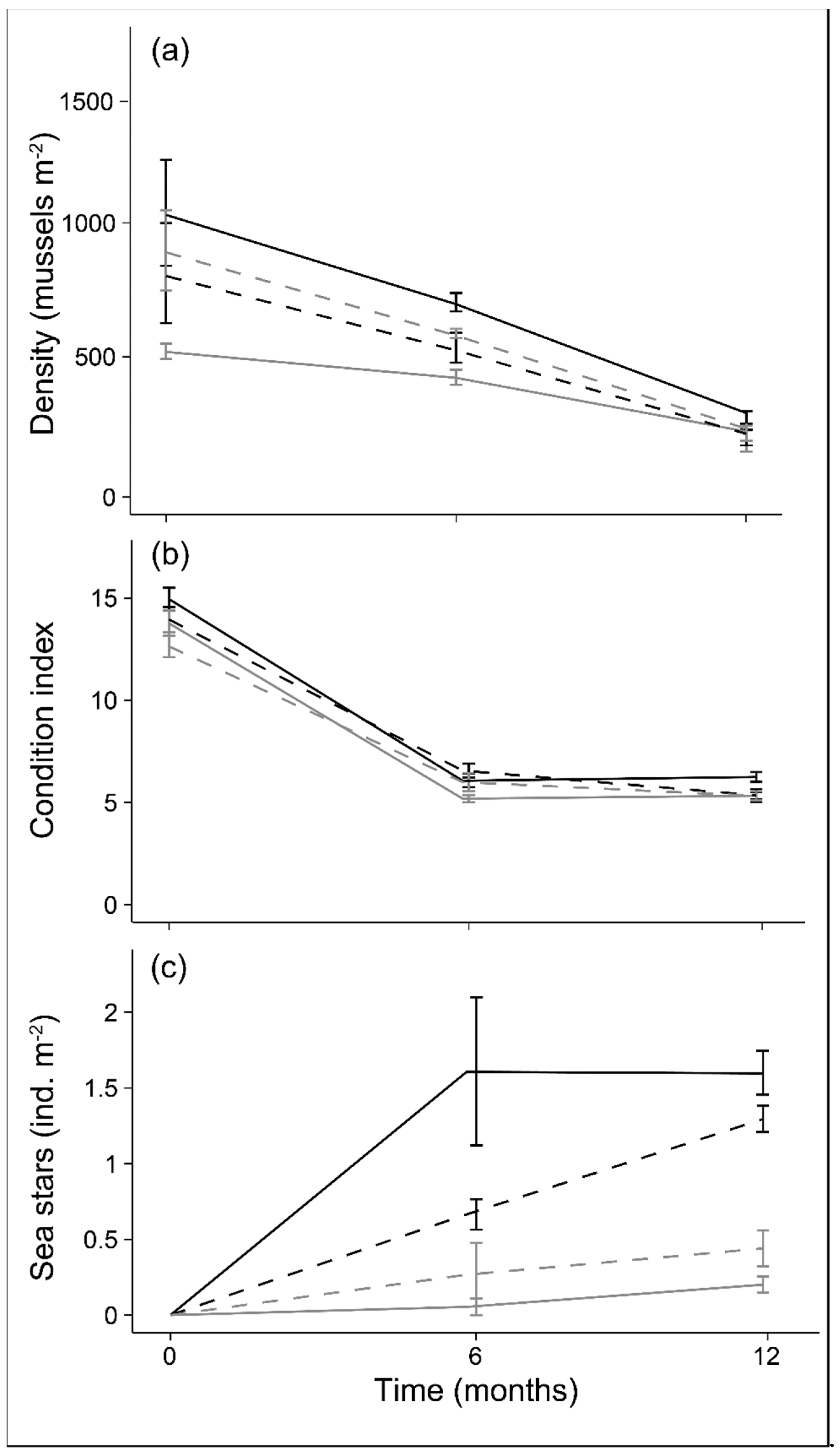 Sustainability 14 15746 g004