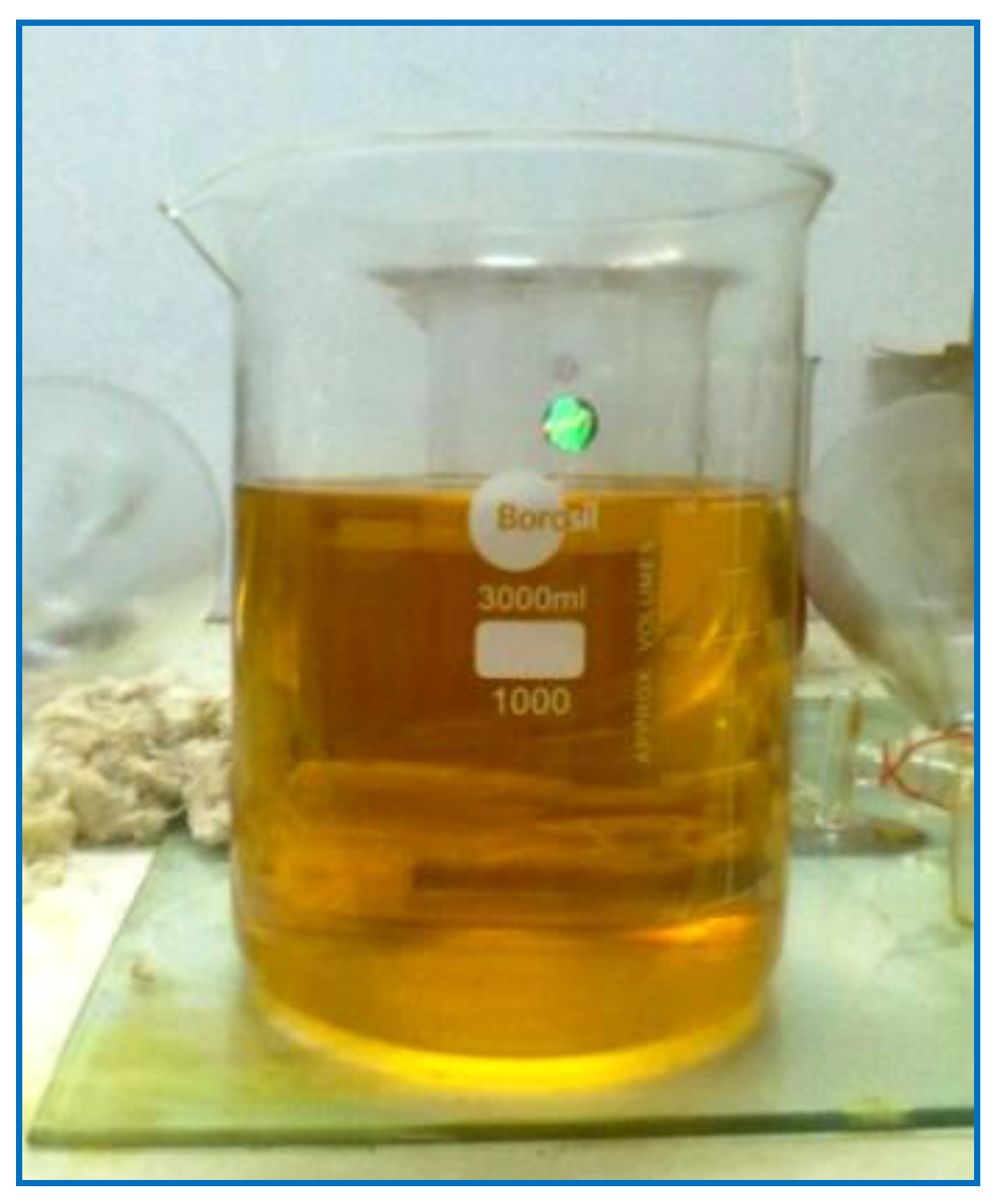 Sustainability 14 15801 g002