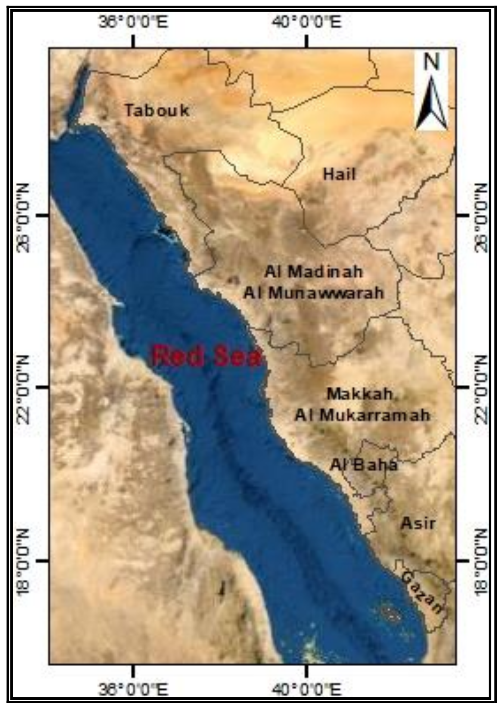 Sustainability 14 15825 g001 Sustainability 14 15825 g001