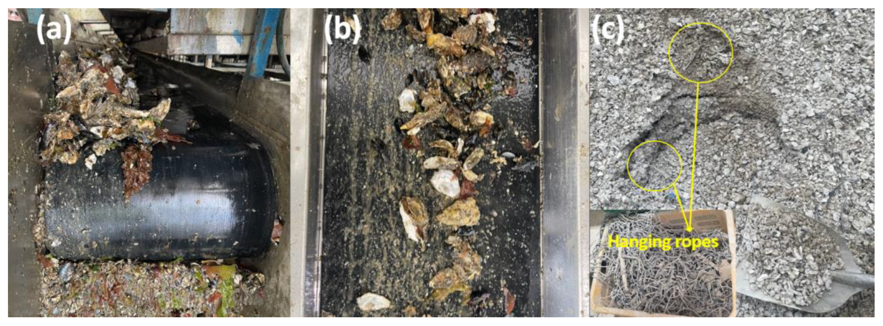 Sustainability 14 15880 g002