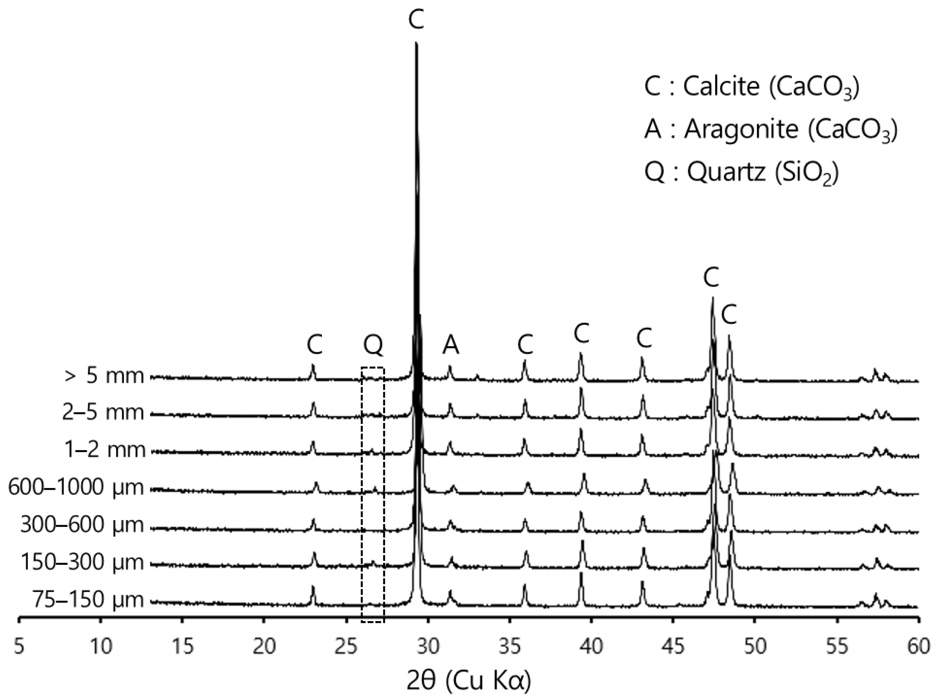 Sustainability 14 15880 g005