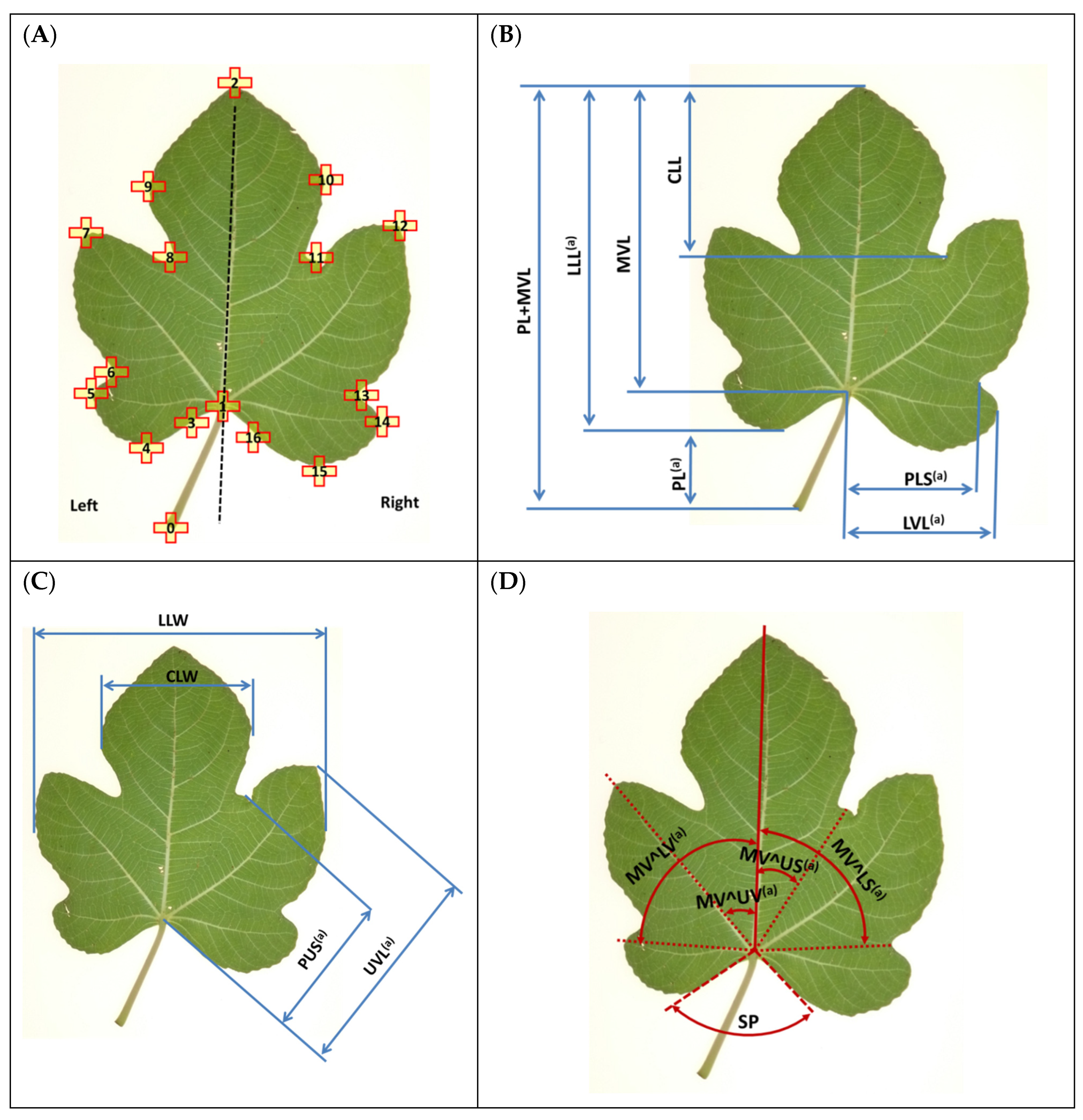 Sustainability 14 15970 g002 Sustainability 14 15970 g002