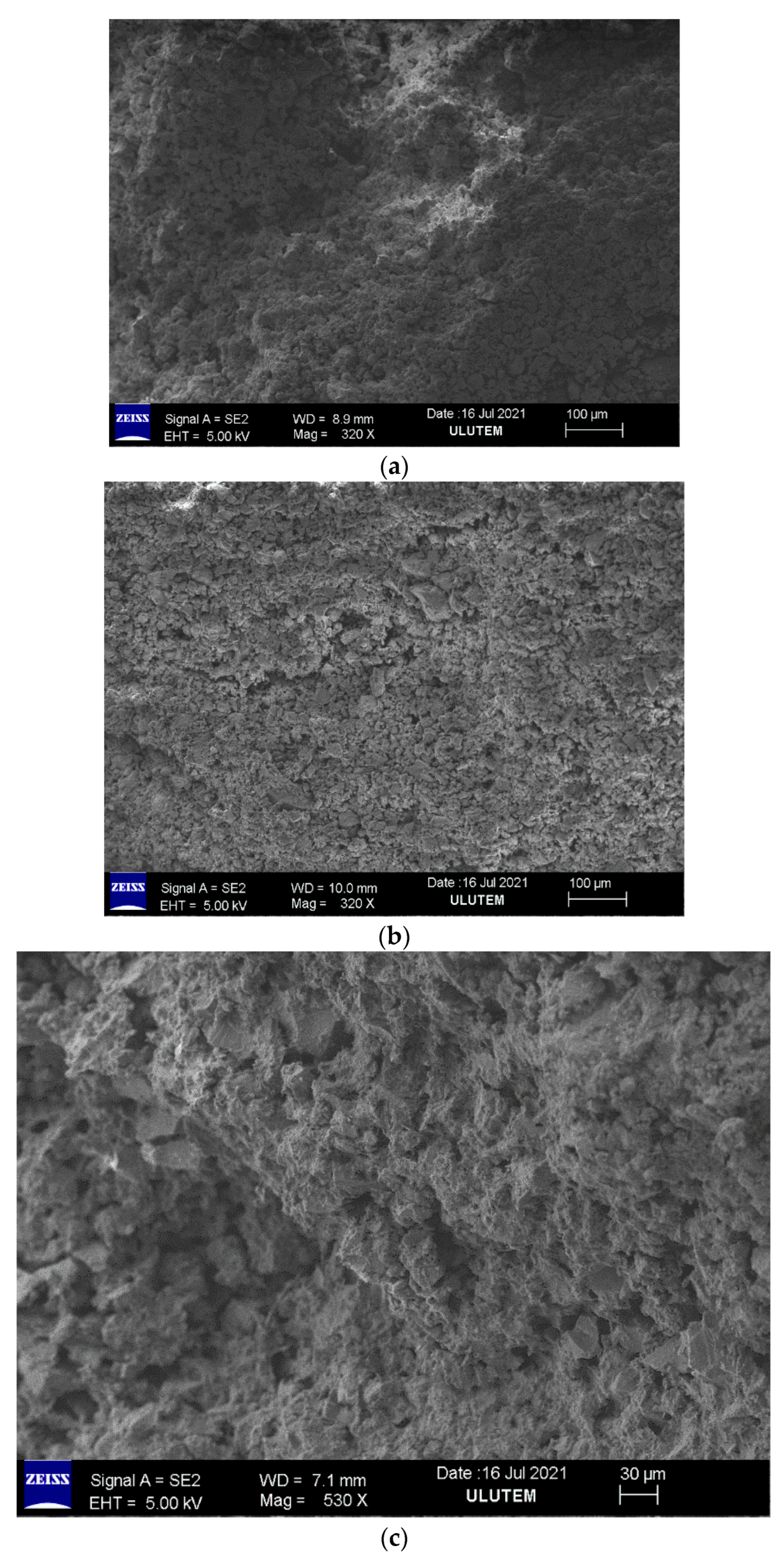Sustainability 14 15991 g004