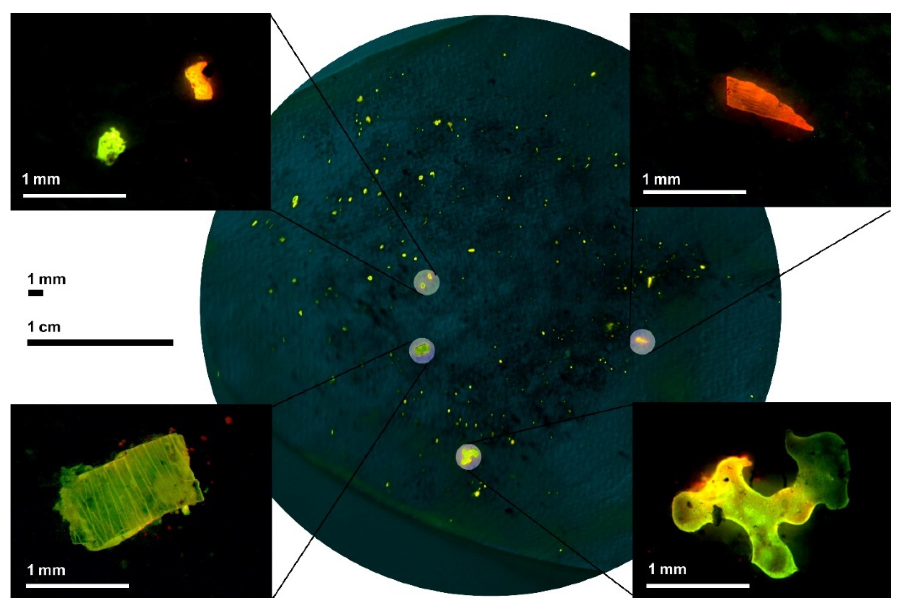 Sustainability 14 16017 g003