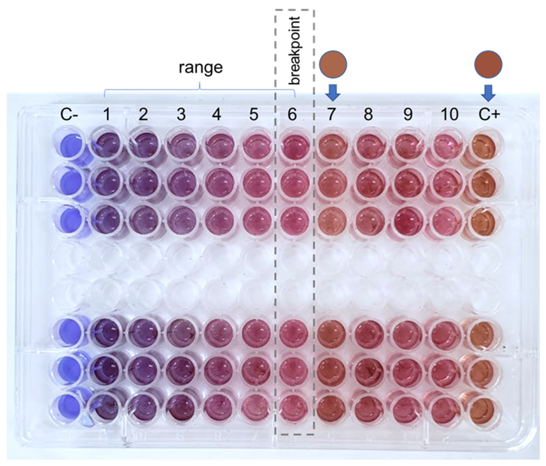 Sustainability 14 16052 g007 Sustainability 14 16052 g007