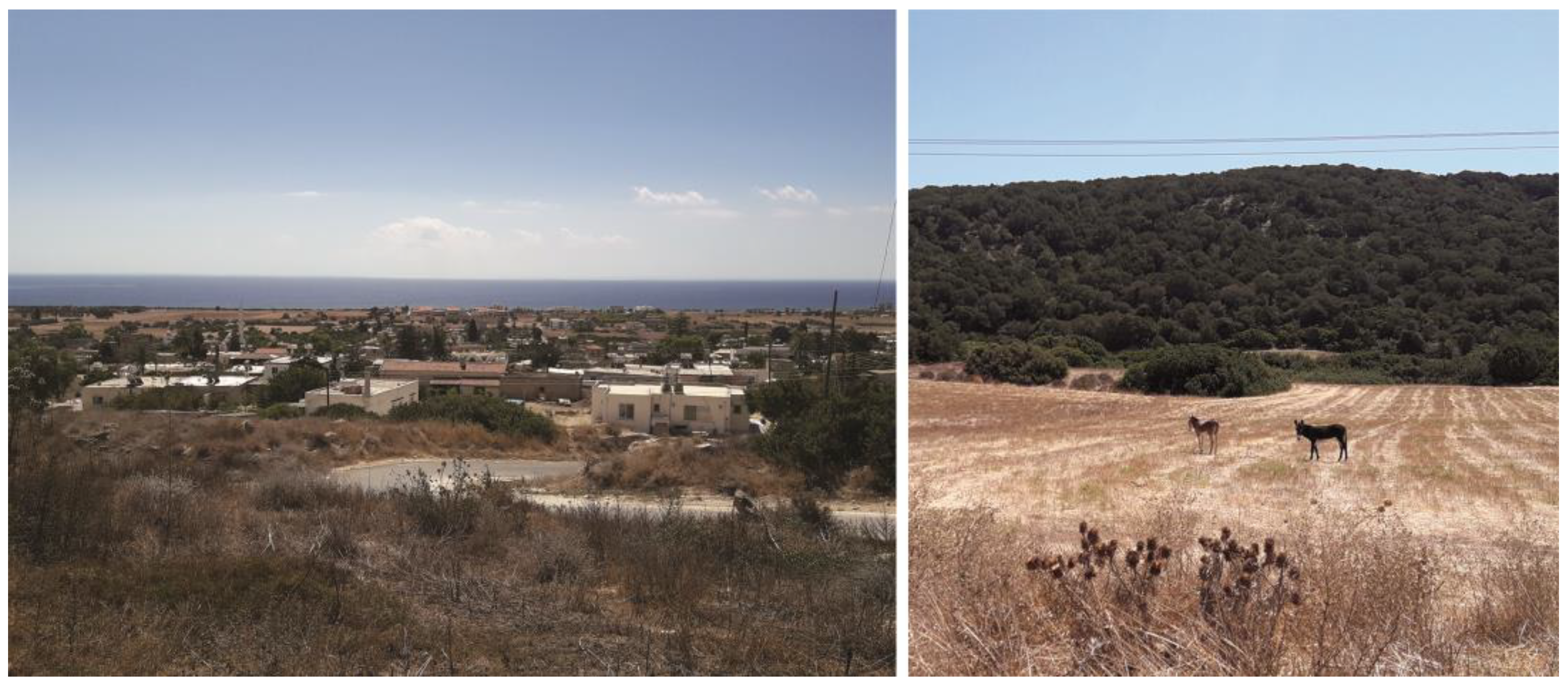 Sustainability 14 16070 g003 Sustainability 14 16070 g003