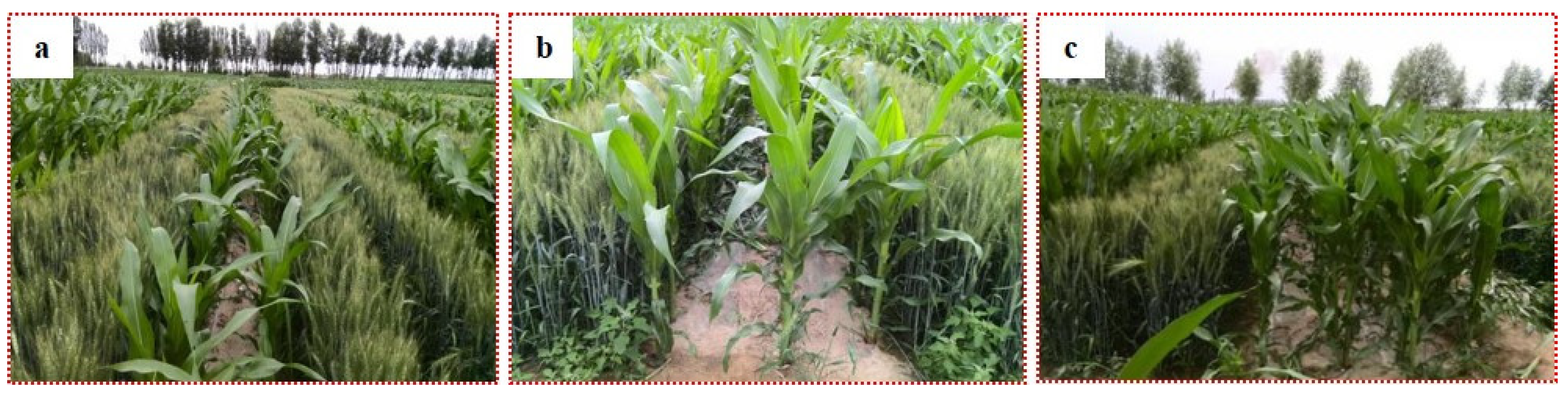 Sustainability 14 16137 g004