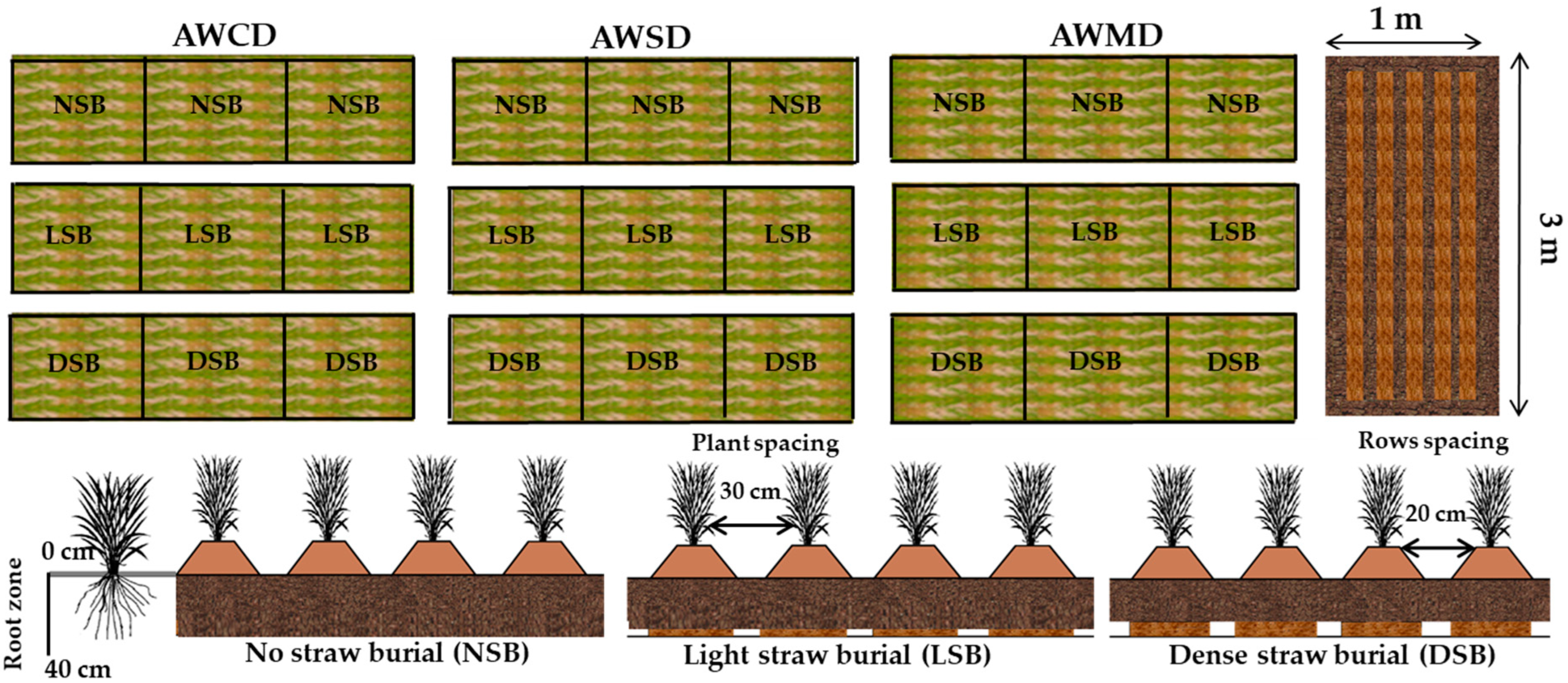 https://www.mdpi.com/sustainability/sustainability-14-16394/article_deploy/html/images/sustainability-14-16394-g001.png