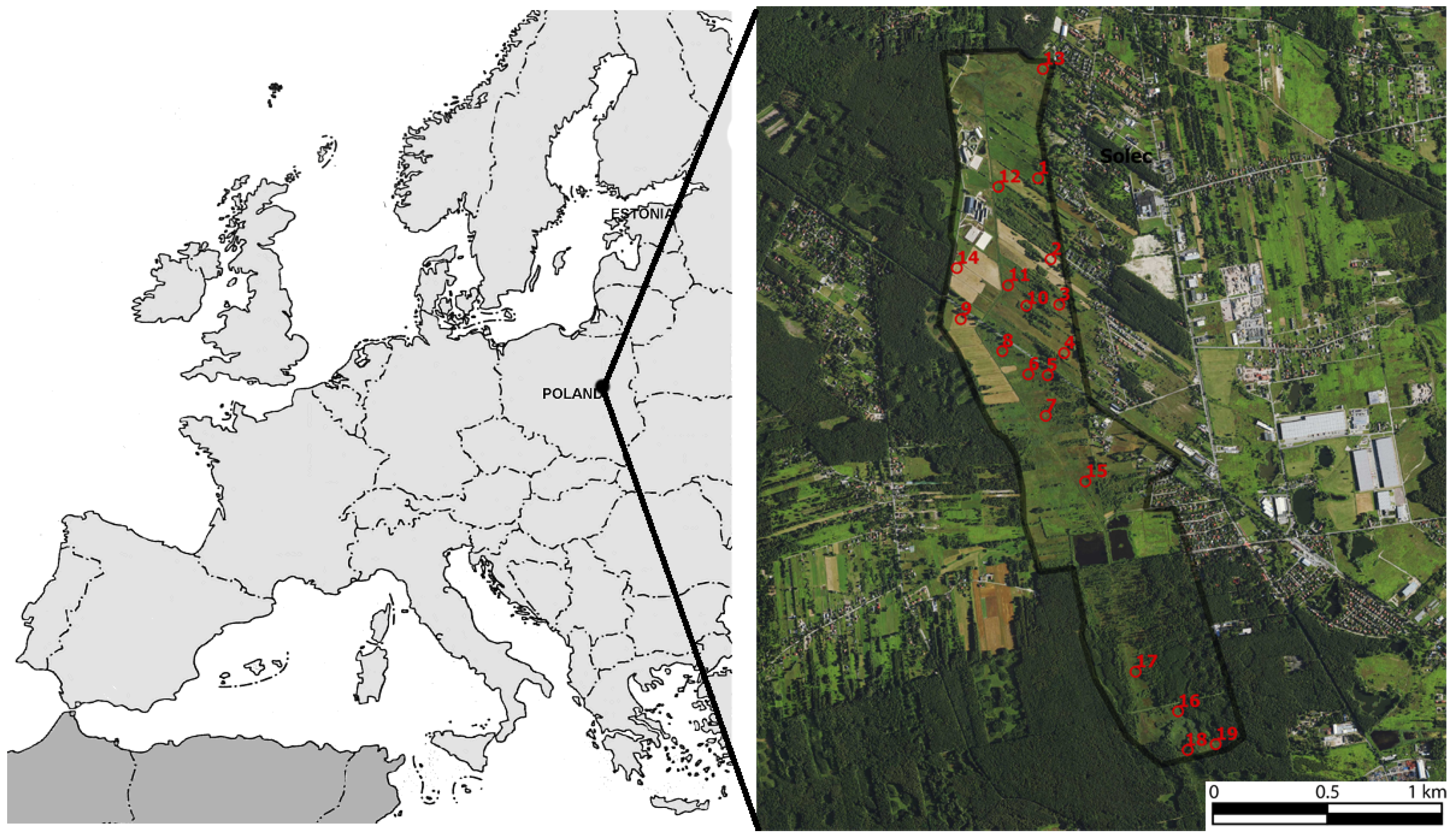 Sustainability 14 16459 g001