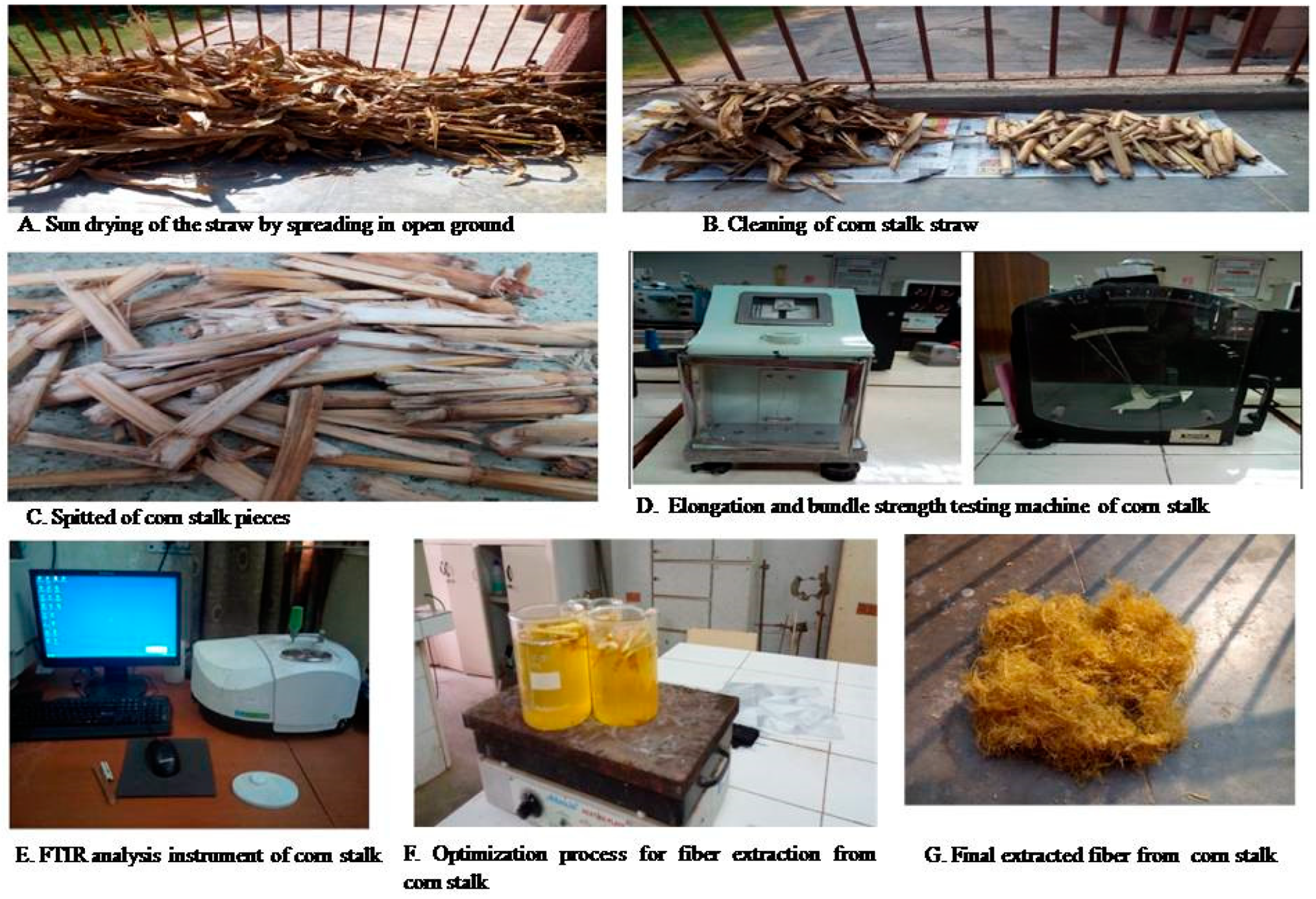 Sustainability 14 16605 g002 Sustainability 14 16605 g002