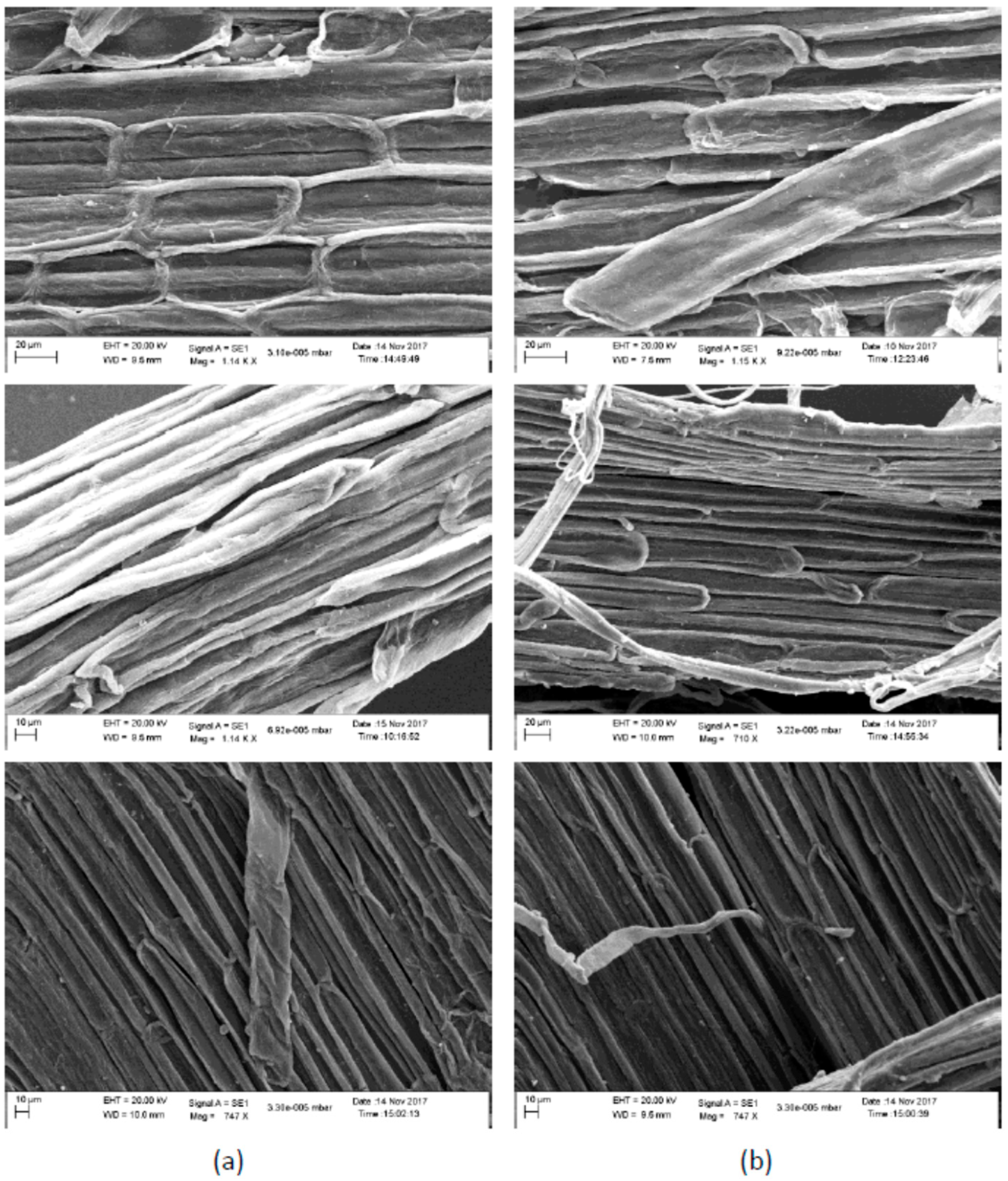 Sustainability 14 16605 g003 Sustainability 14 16605 g003
