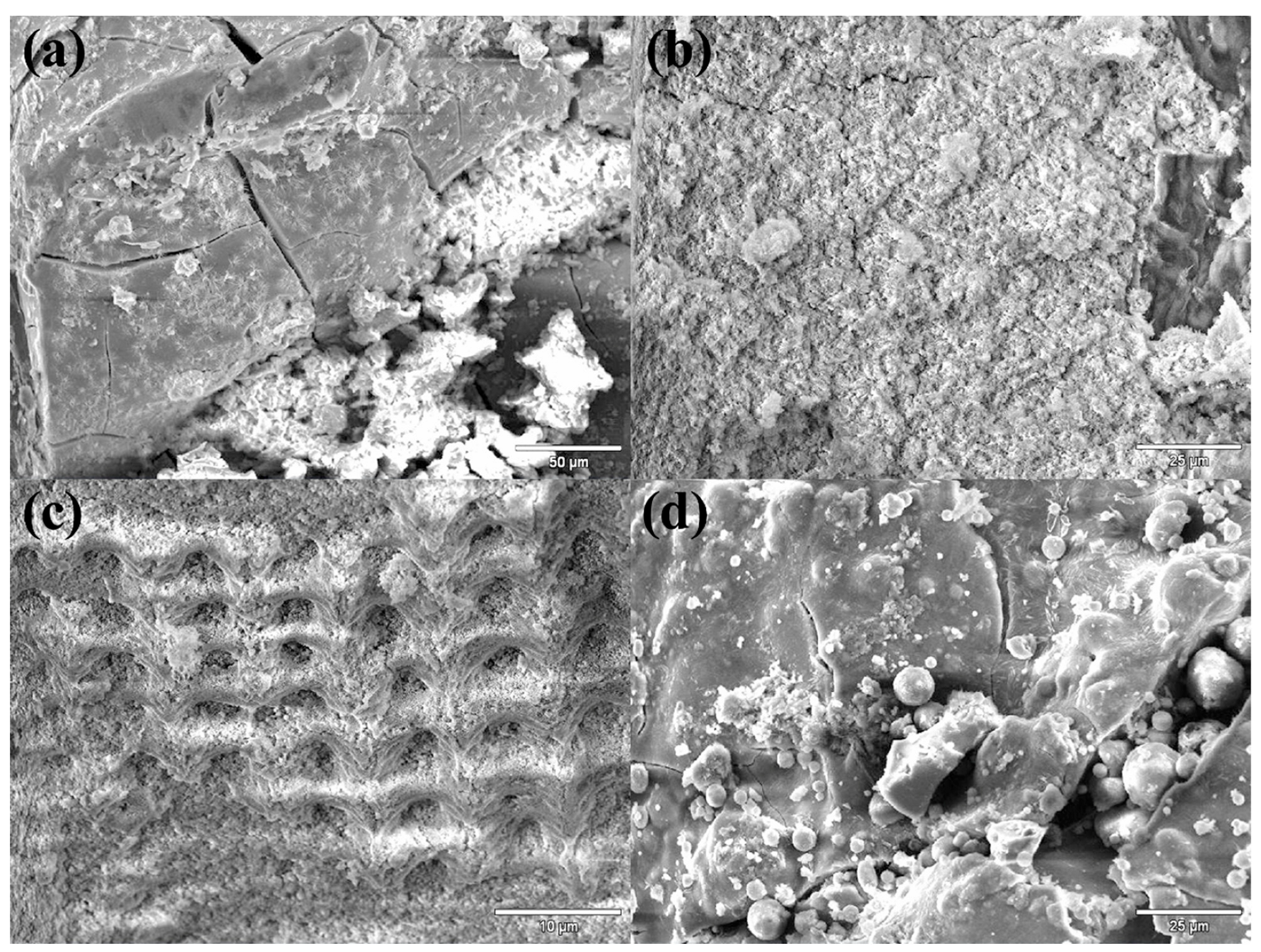 Sustainability 14 16689 g004 Sustainability 14 16689 g004