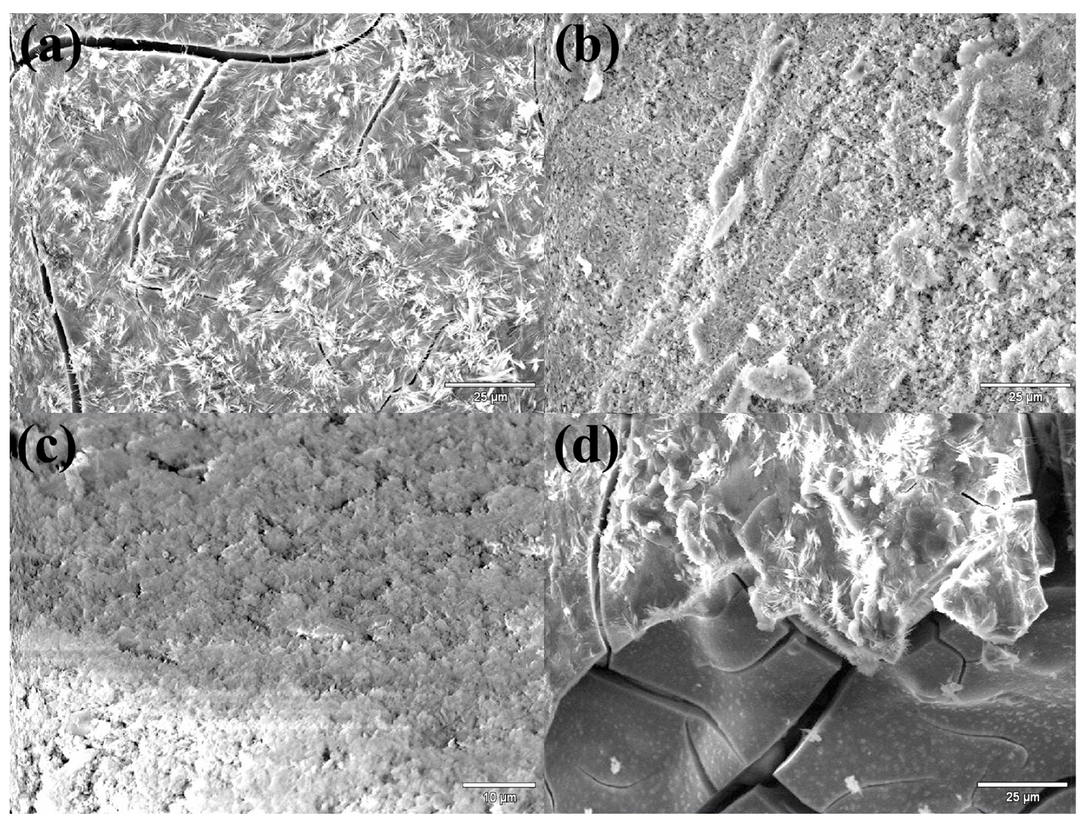 Sustainability 14 16689 g006 Sustainability 14 16689 g006