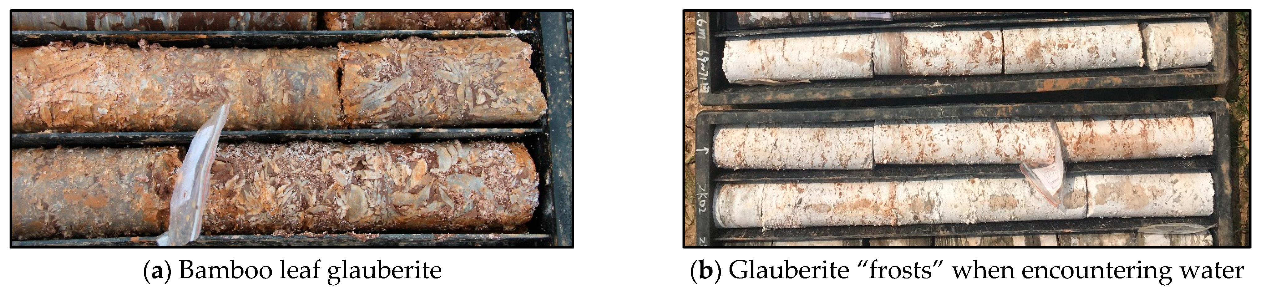 Sustainability 14 16739 g001 Sustainability 14 16739 g001
