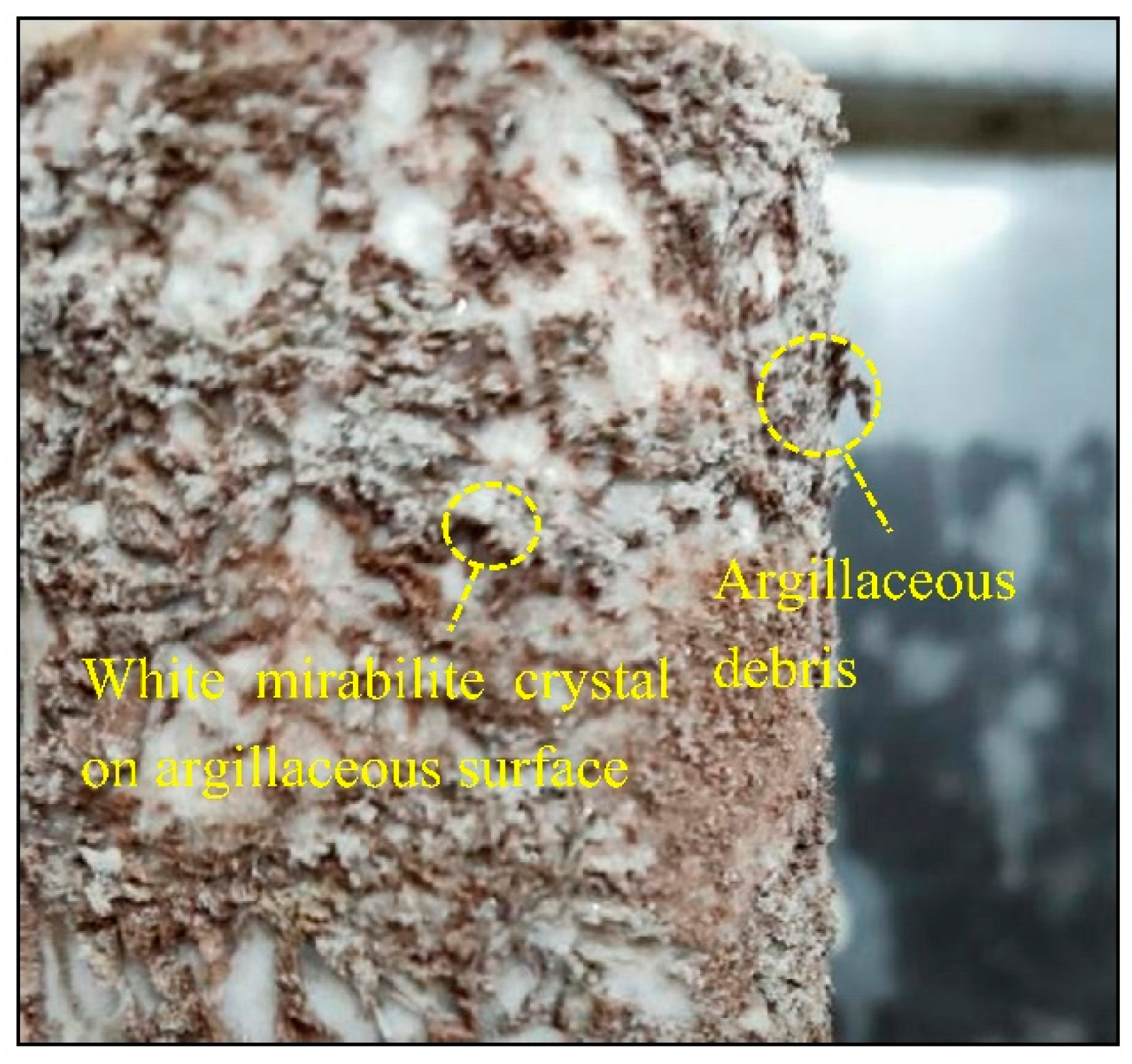 Sustainability 14 16739 g020 Sustainability 14 16739 g020