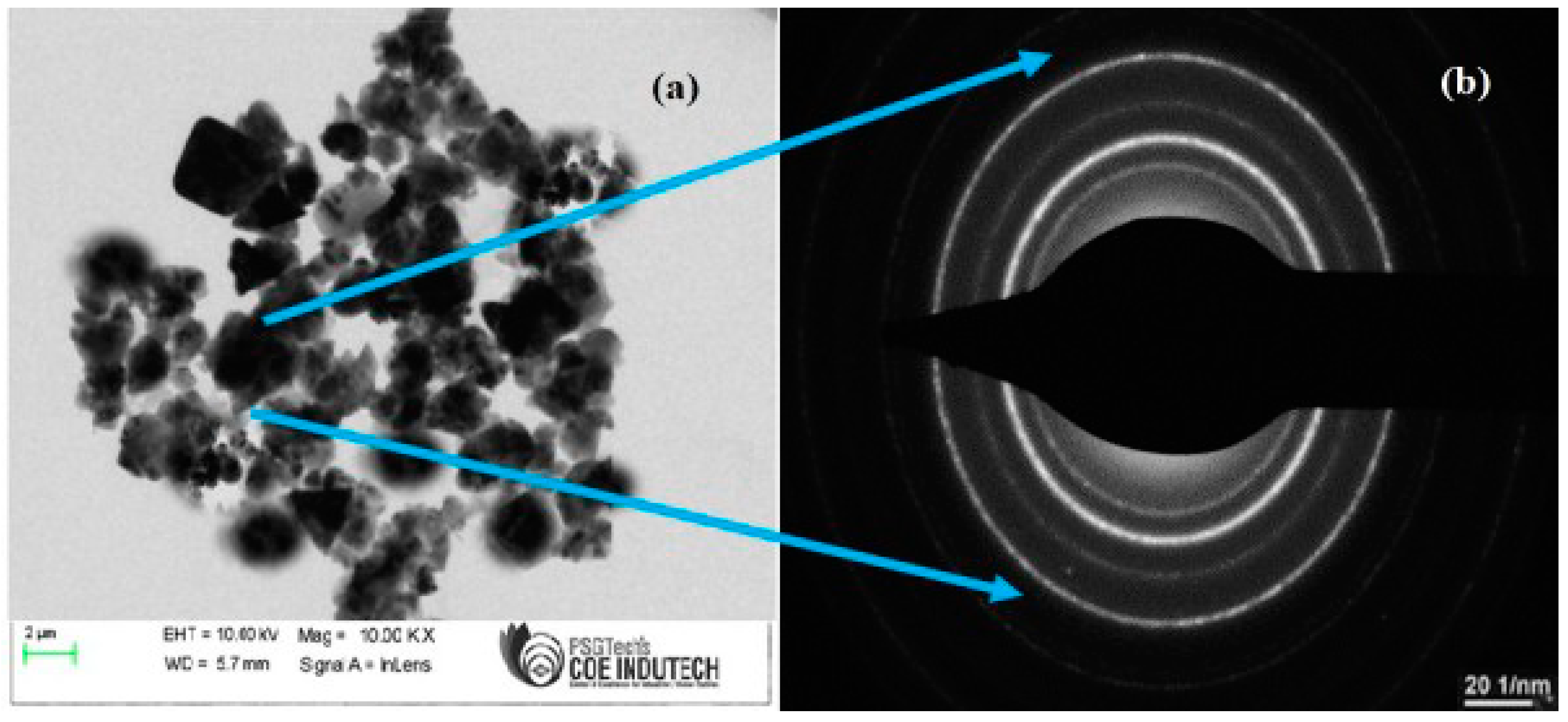 Sustainability 14 17009 g005 Sustainability 14 17009 g005