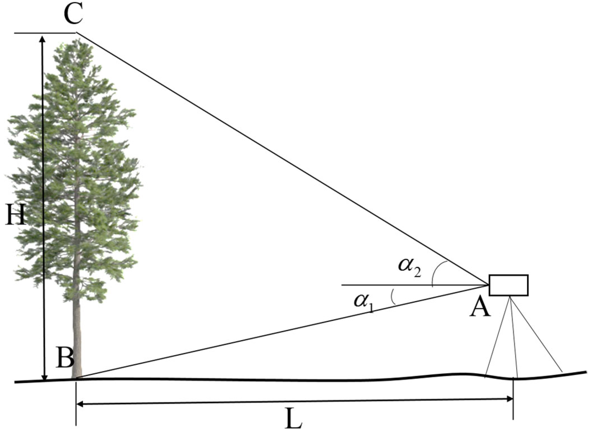Sustainability 14 17042 g008 Sustainability 14 17042 g008