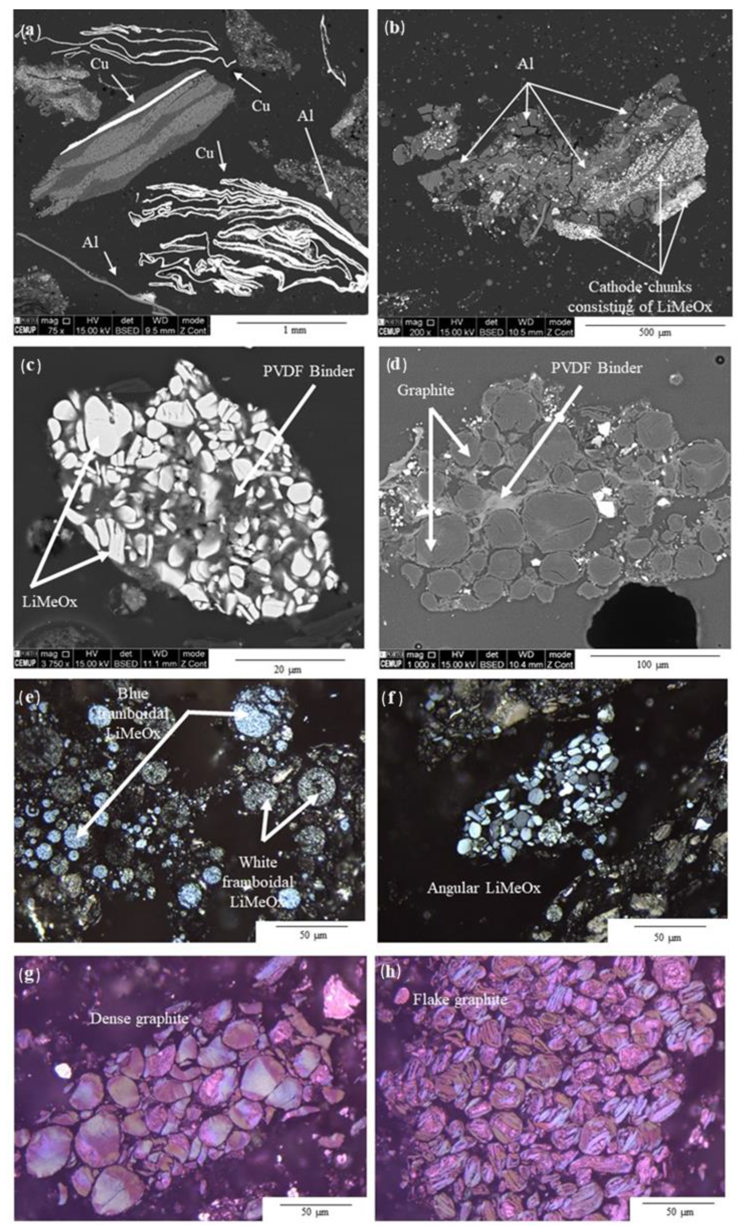 Sustainability 15 00015 g003