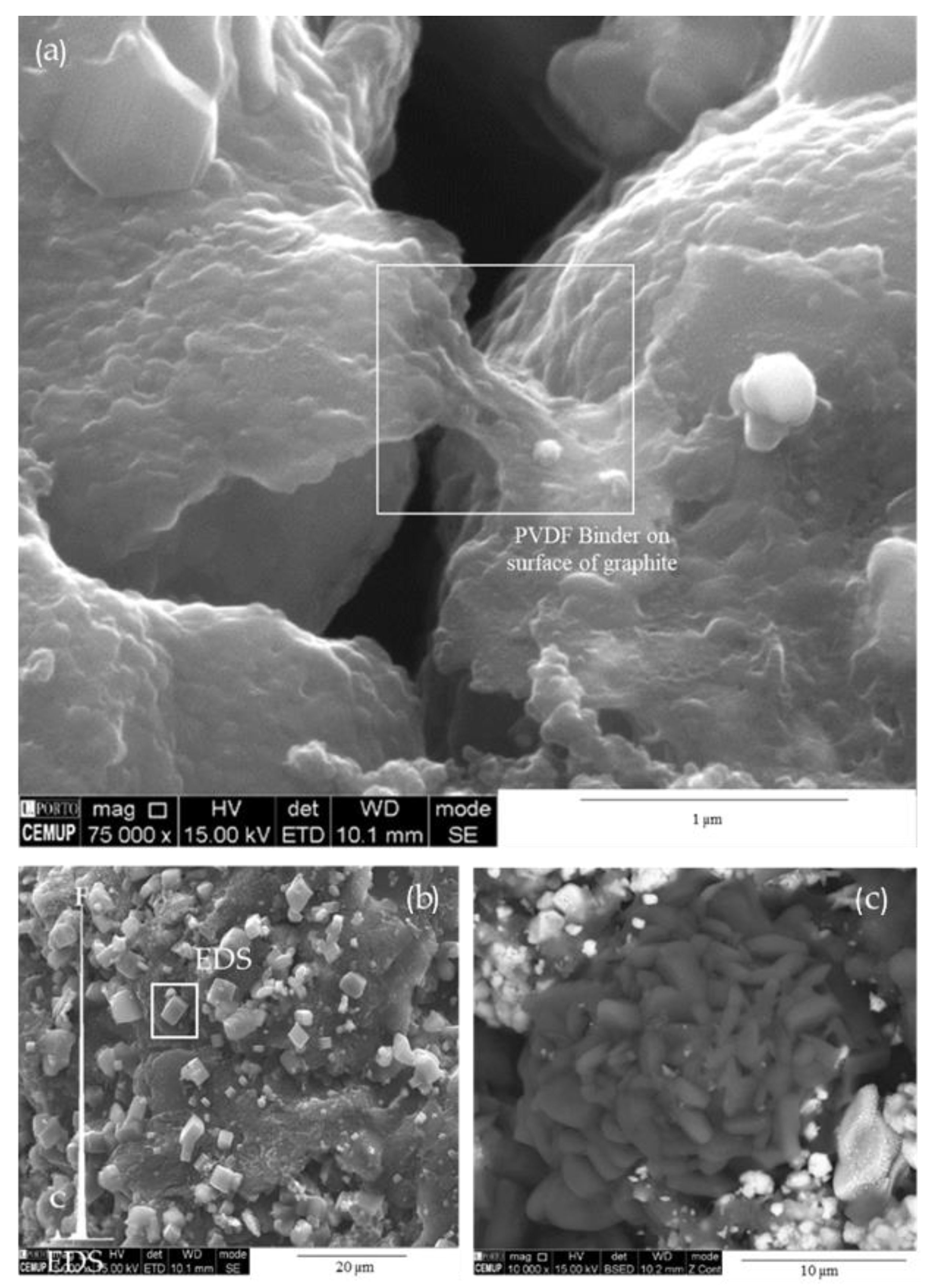 Sustainability 15 00015 g011