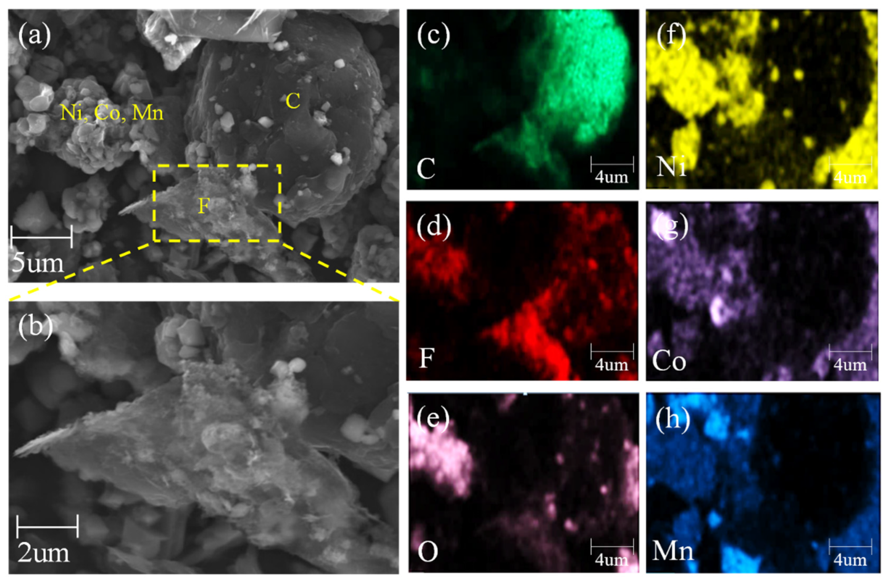 Sustainability 15 00030 g004