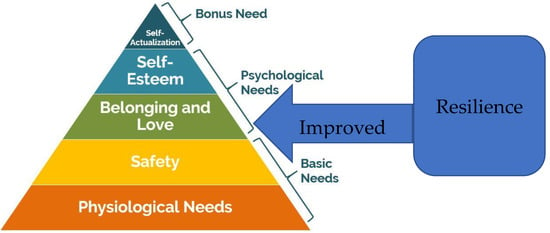 Unmet Needs and Resilience: The Case of Vulnerable and 