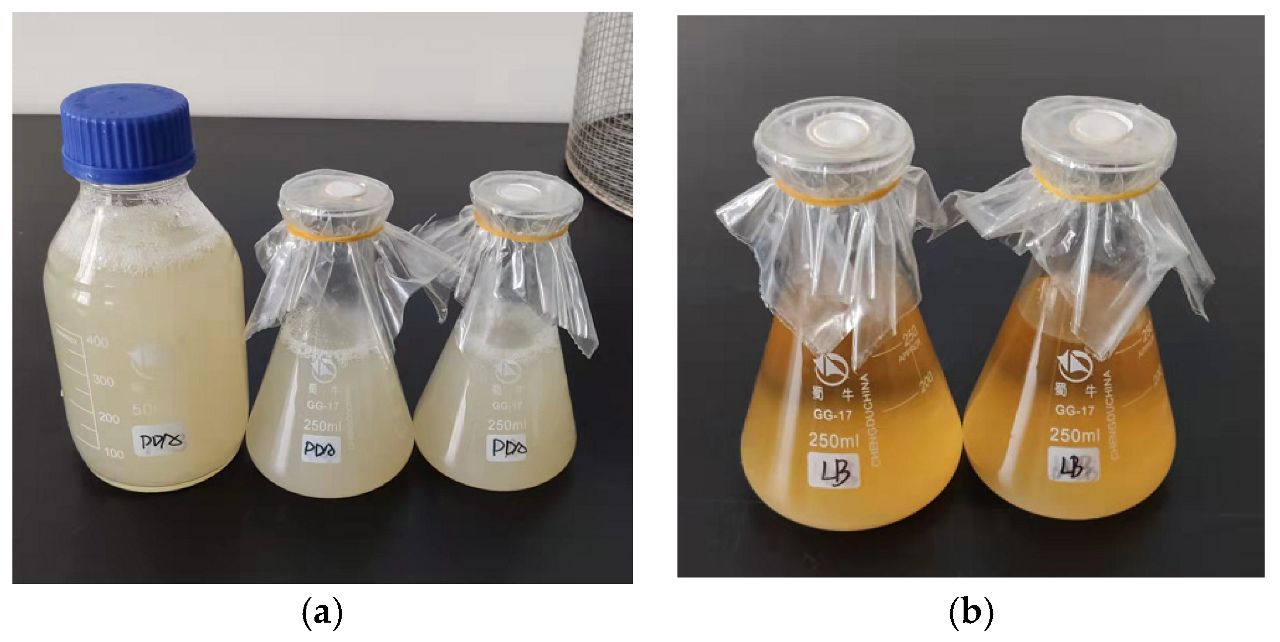 Sustainability 15 00173 g009