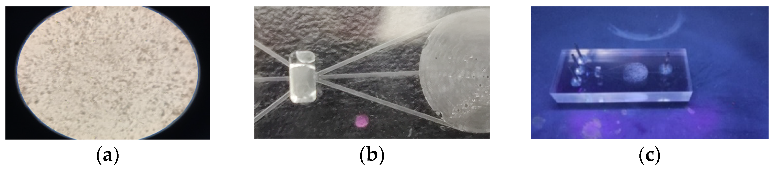 Sustainability 15 00173 g012
