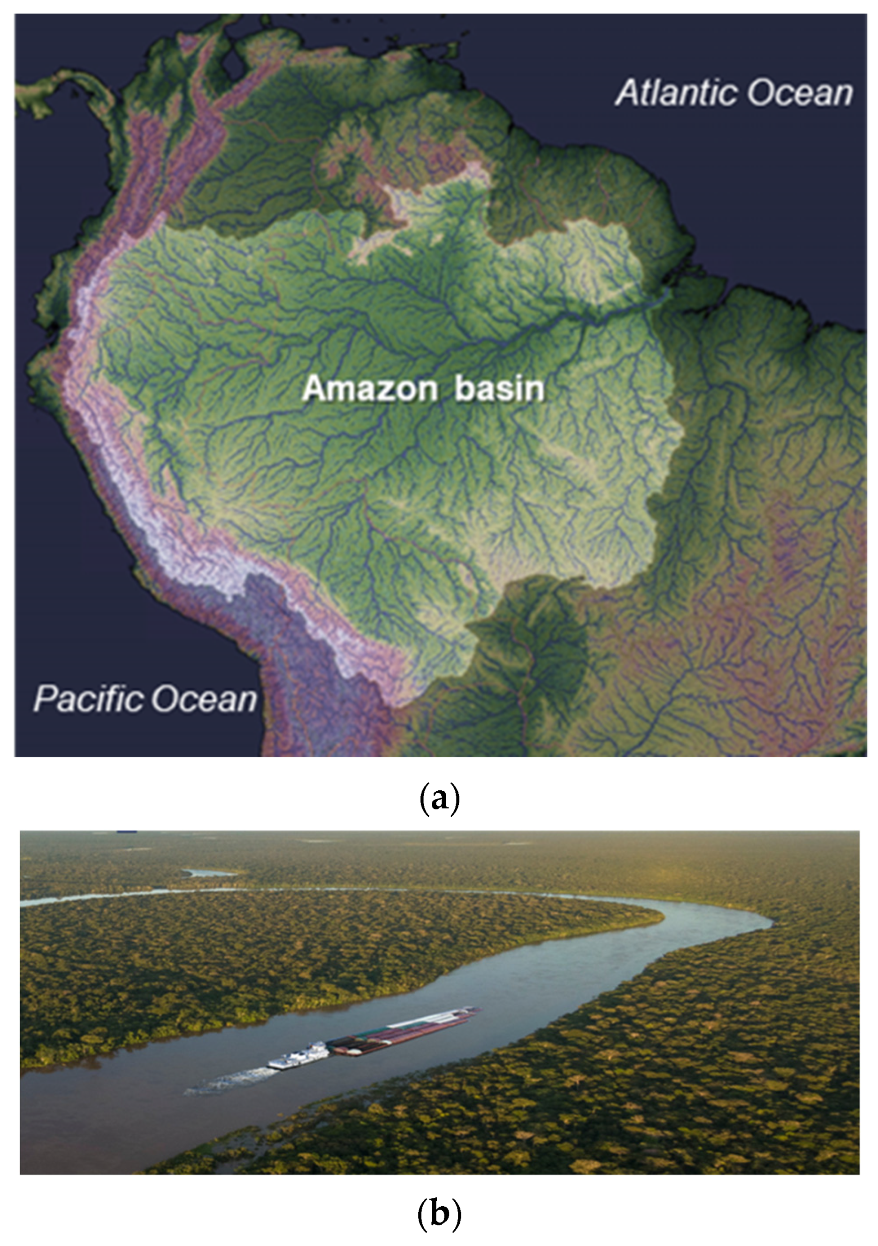 Sustainability | Free Full-Text | Marine Accidents in the Brazilian Amazon:  The Problems and Challenges in the Initiatives for Their Prevention Focused  on Passenger Ships