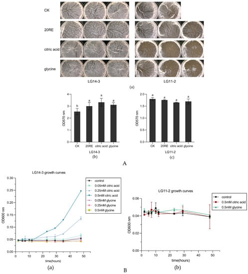 Sustainability Free Full Text The Effect Of Banana Rhizosphere Chemotaxis And