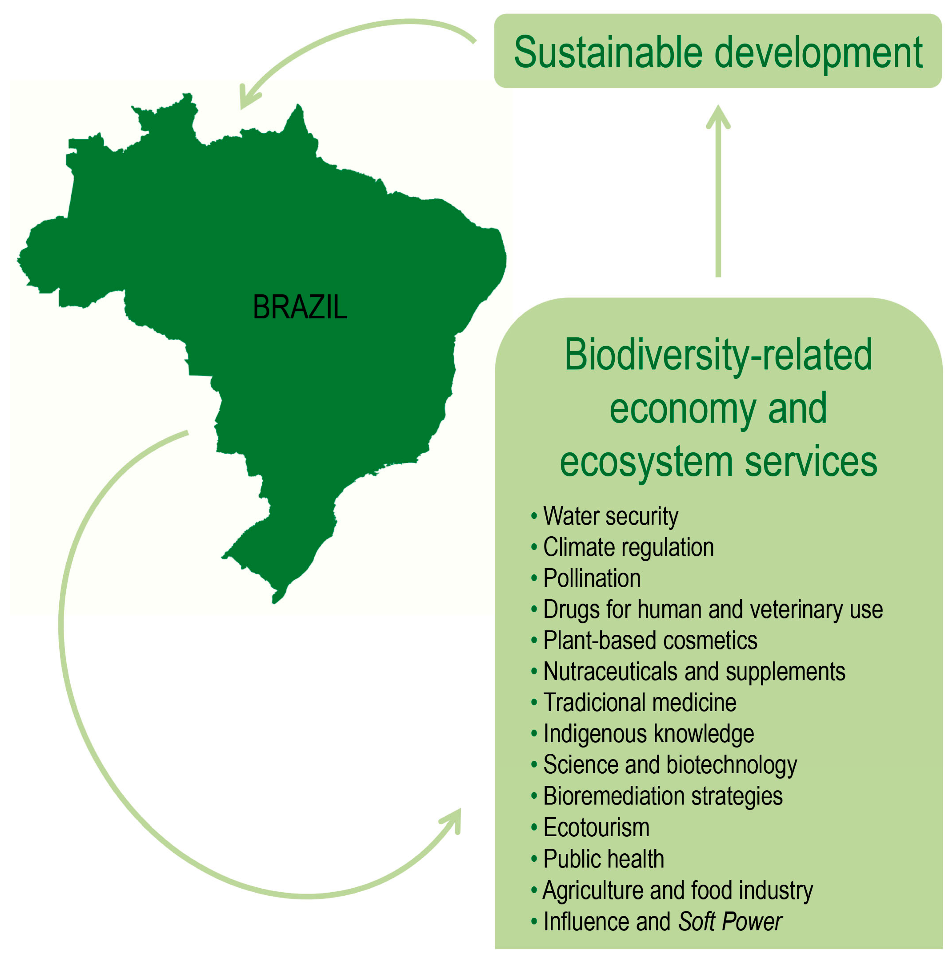 Sustainability | Free Full-Text | Brazilian Biodiversity as a Source of  Power and Sustainable Development: A Neglected Opportunity