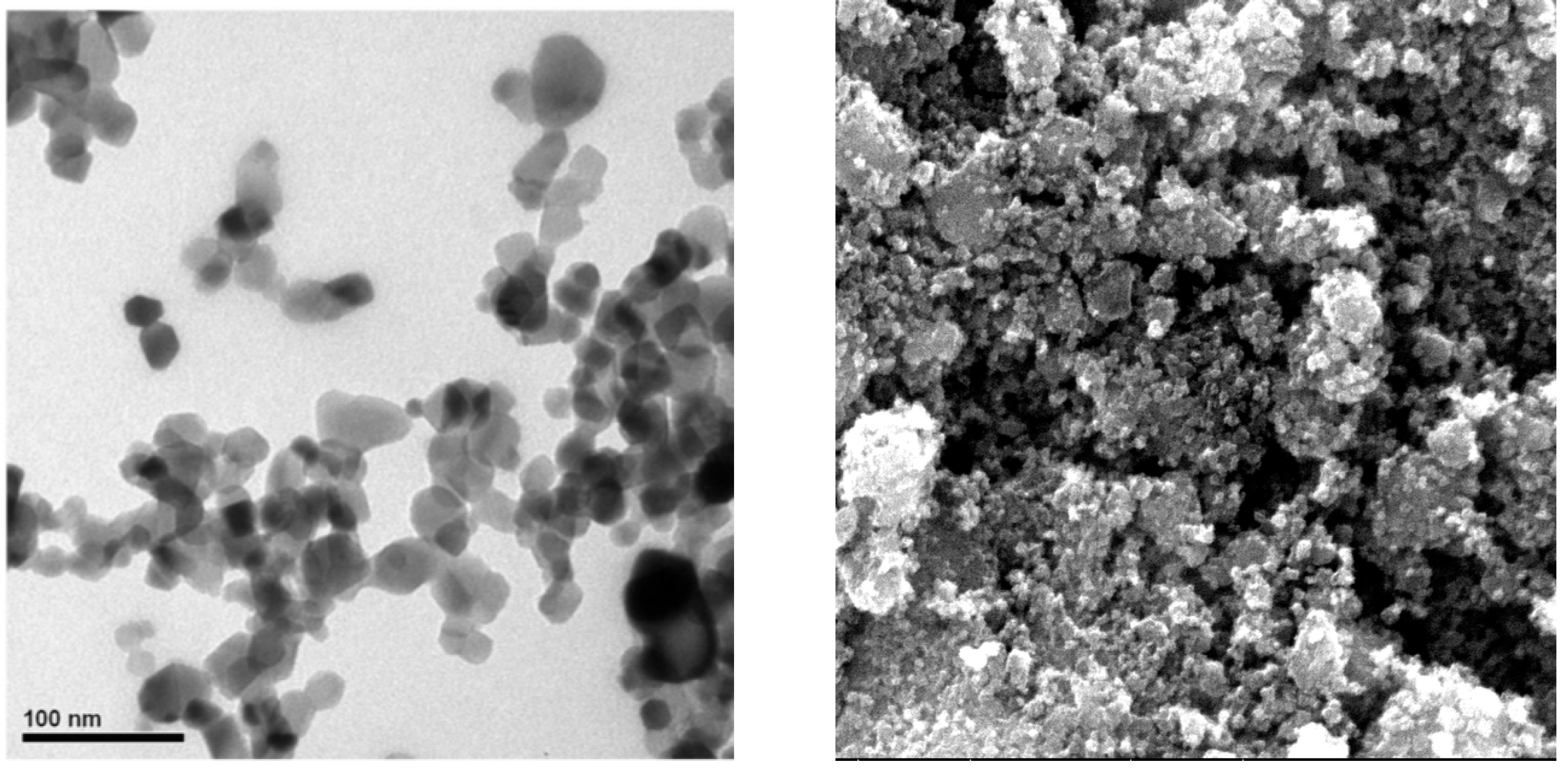 Sustainability 15 00516 g002