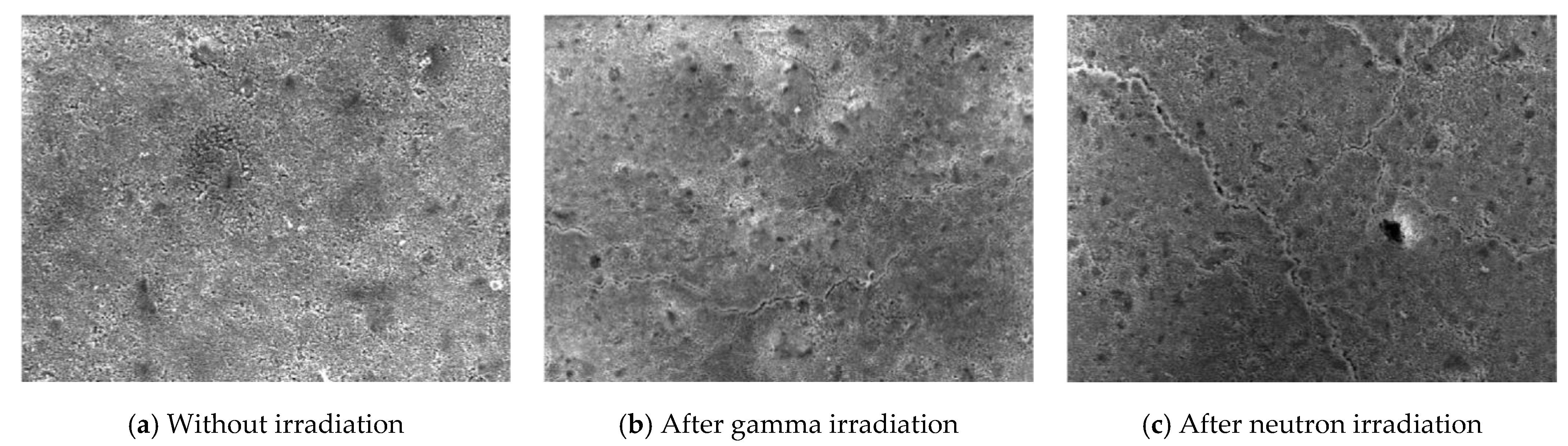 Sustainability | Free Full-Text | Investigating the Effect of Gamma and  Neutron Irradiation on Portland Cement Provided with Waste Silicate Glass
