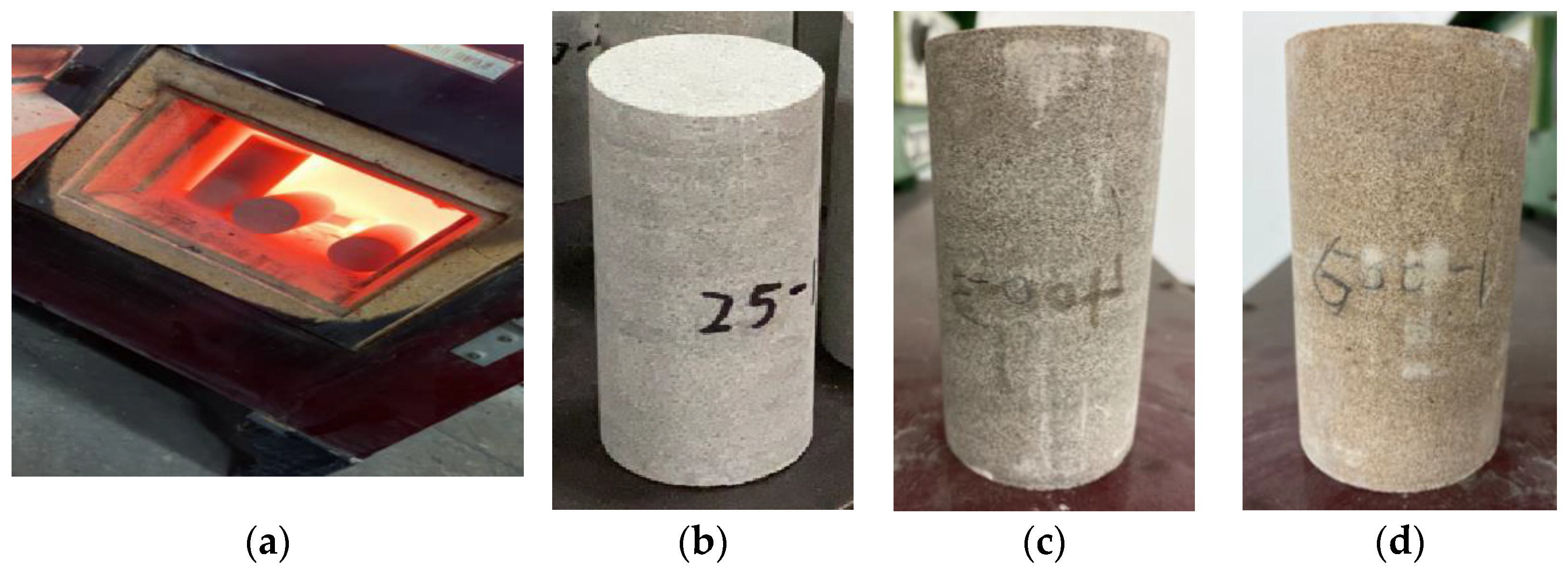 Sustainability 15 00794 g001