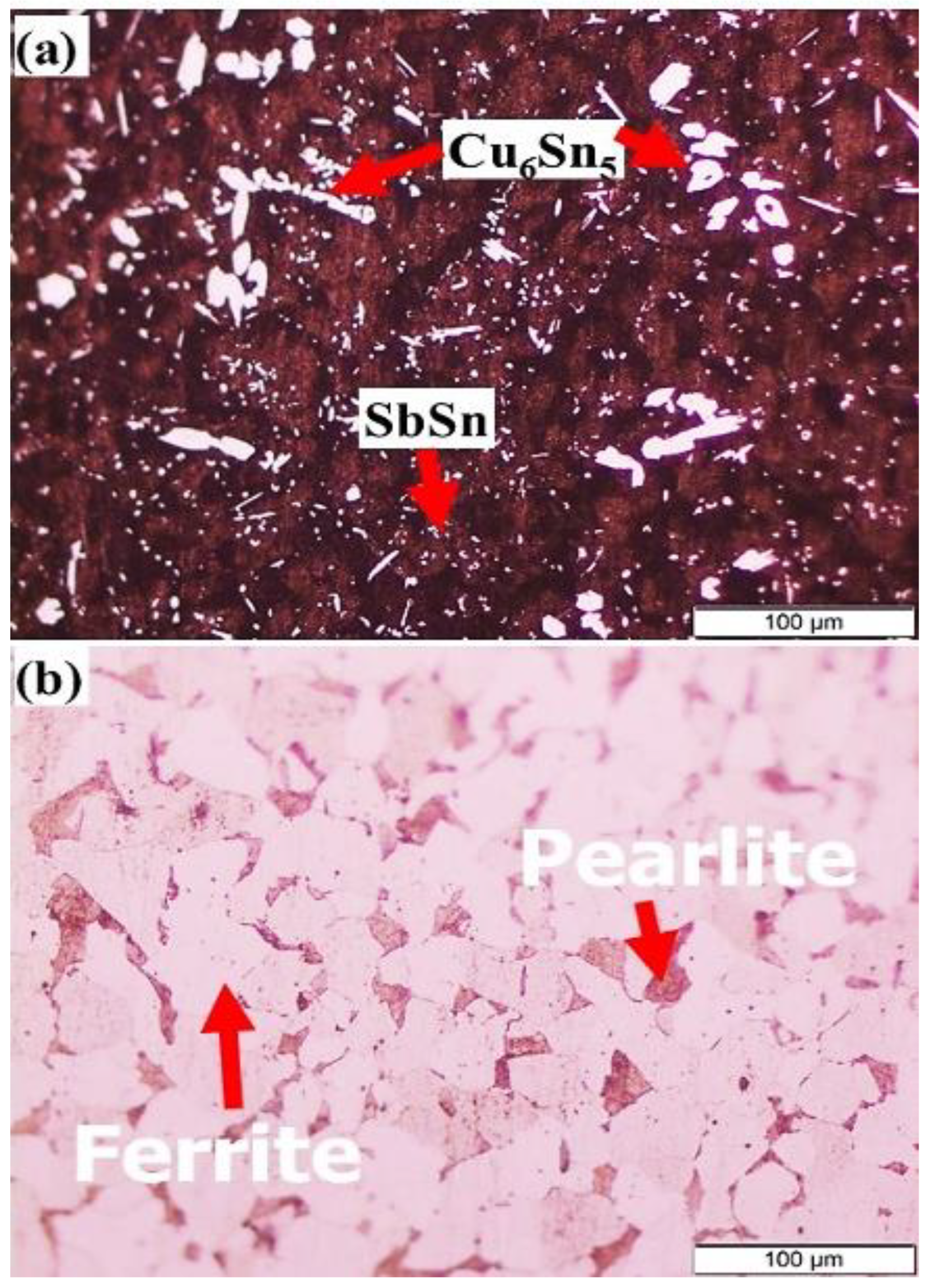 Sustainability 15 00804 g002