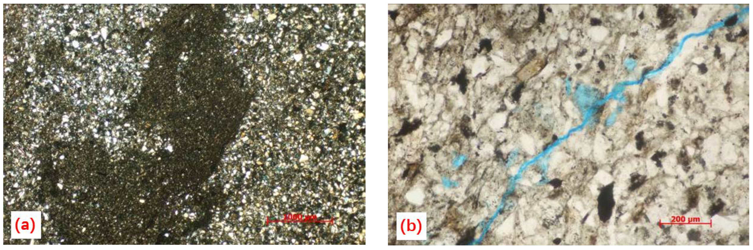 Sustainability 15 00885 g002