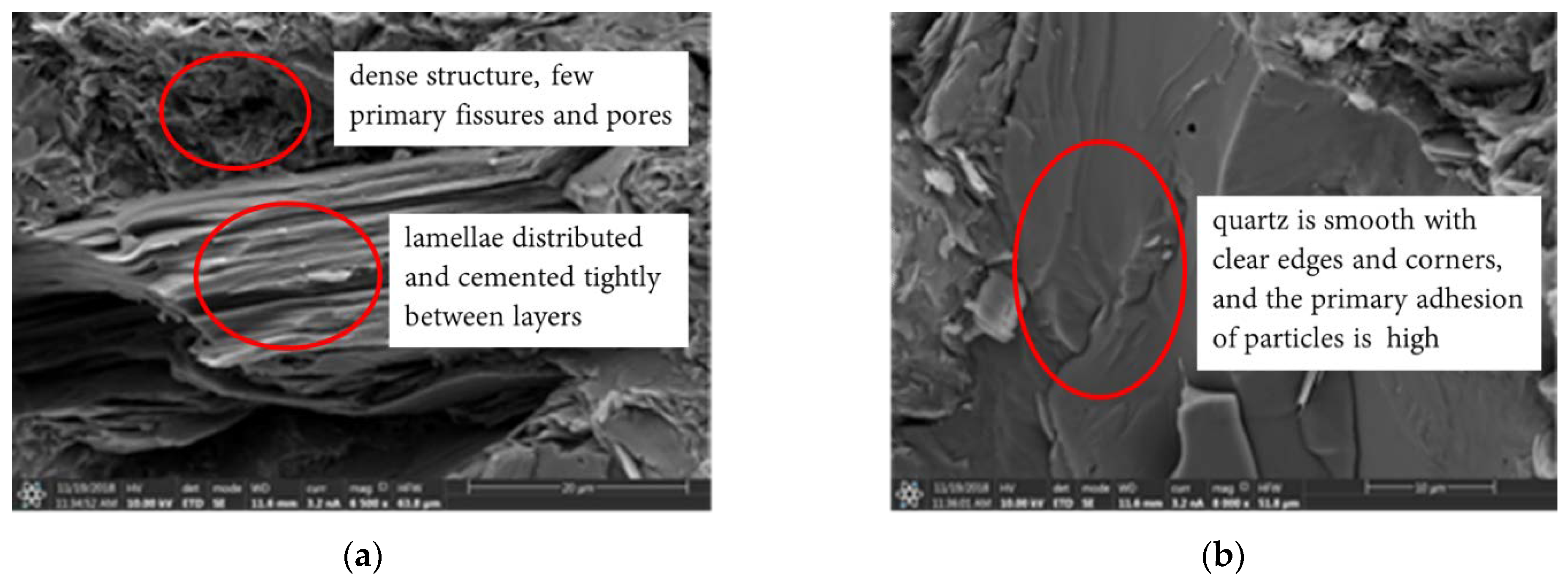 Sustainability 15 00885 g013