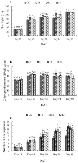 Effect of different application proportions of rice straw and