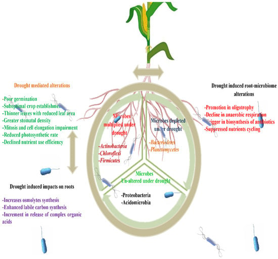 Sustainability | Free Full-Text | Overviewing Drought and Heat Stress ...