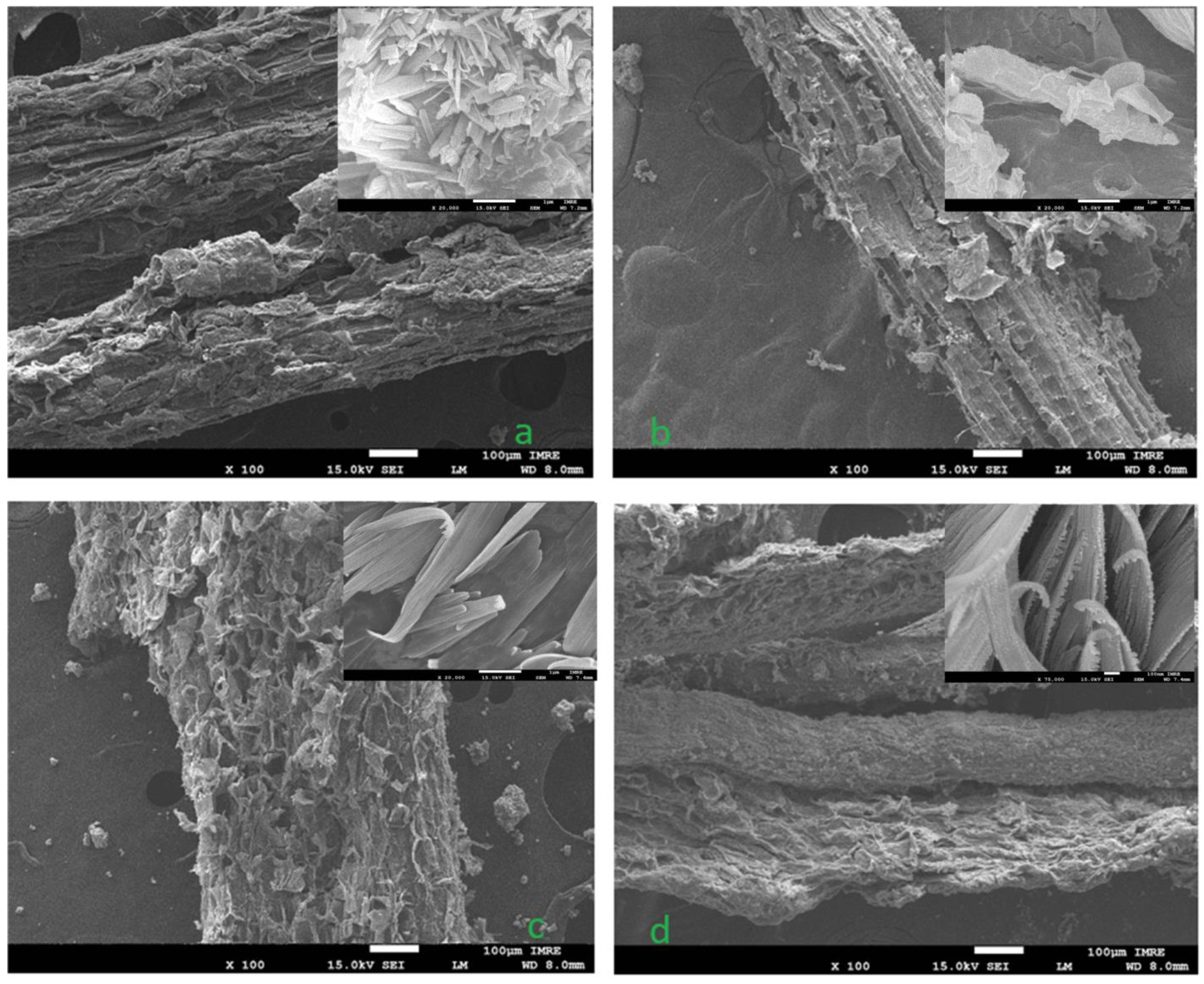 Sustainability 15 01686 g007