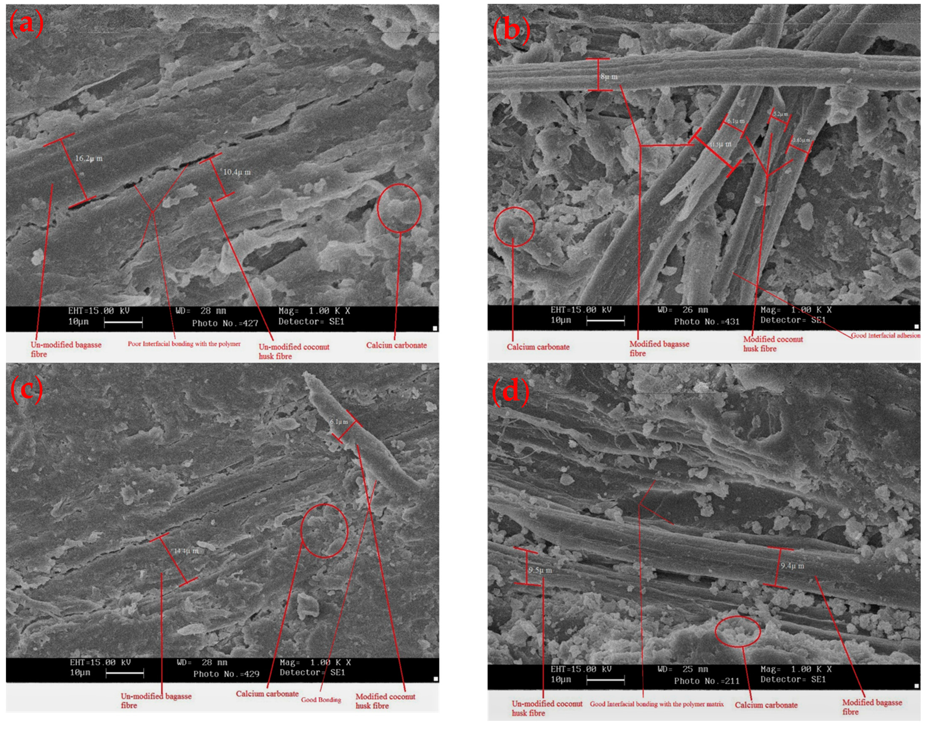 Sustainability 15 01686 g008