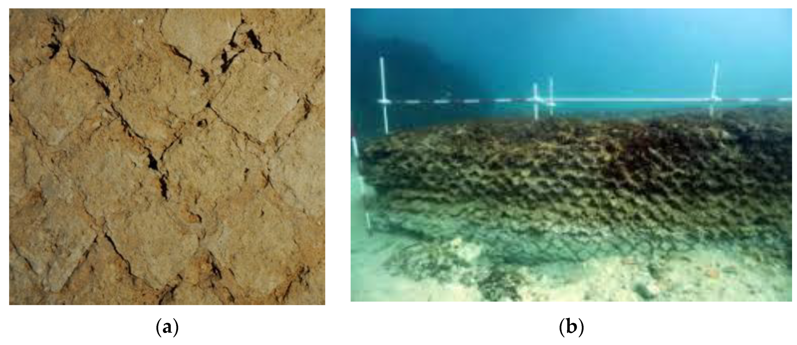 Sustainability 15 01702 g011