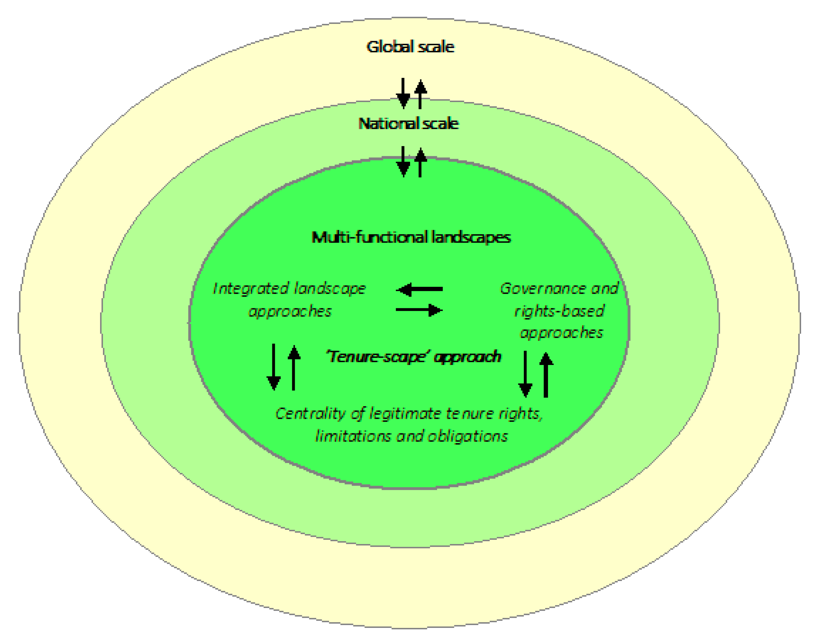 Global Forest Coalition Webinar on Carbon Removals: Unravelling