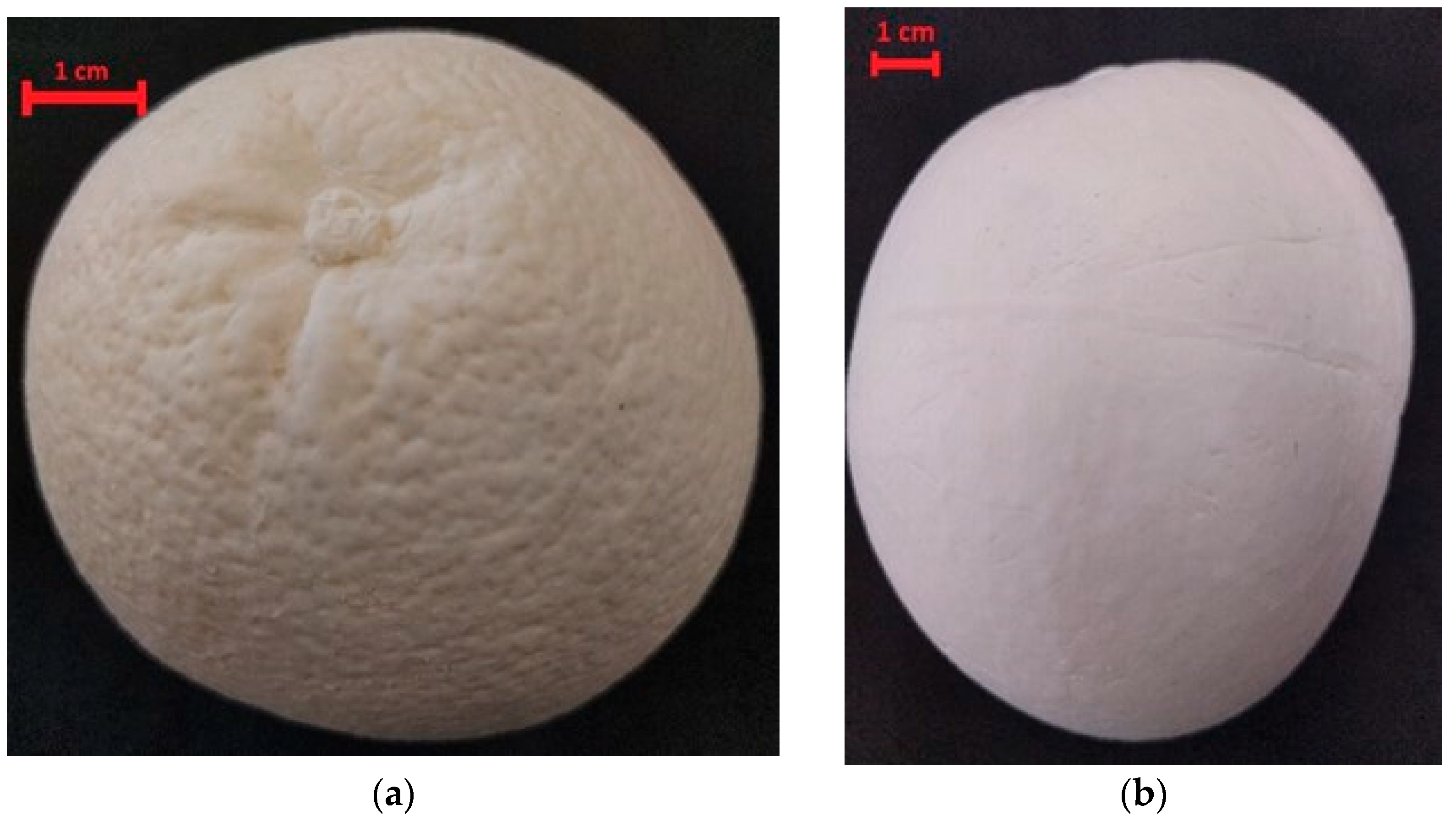 Sustainability 15 01789 g006