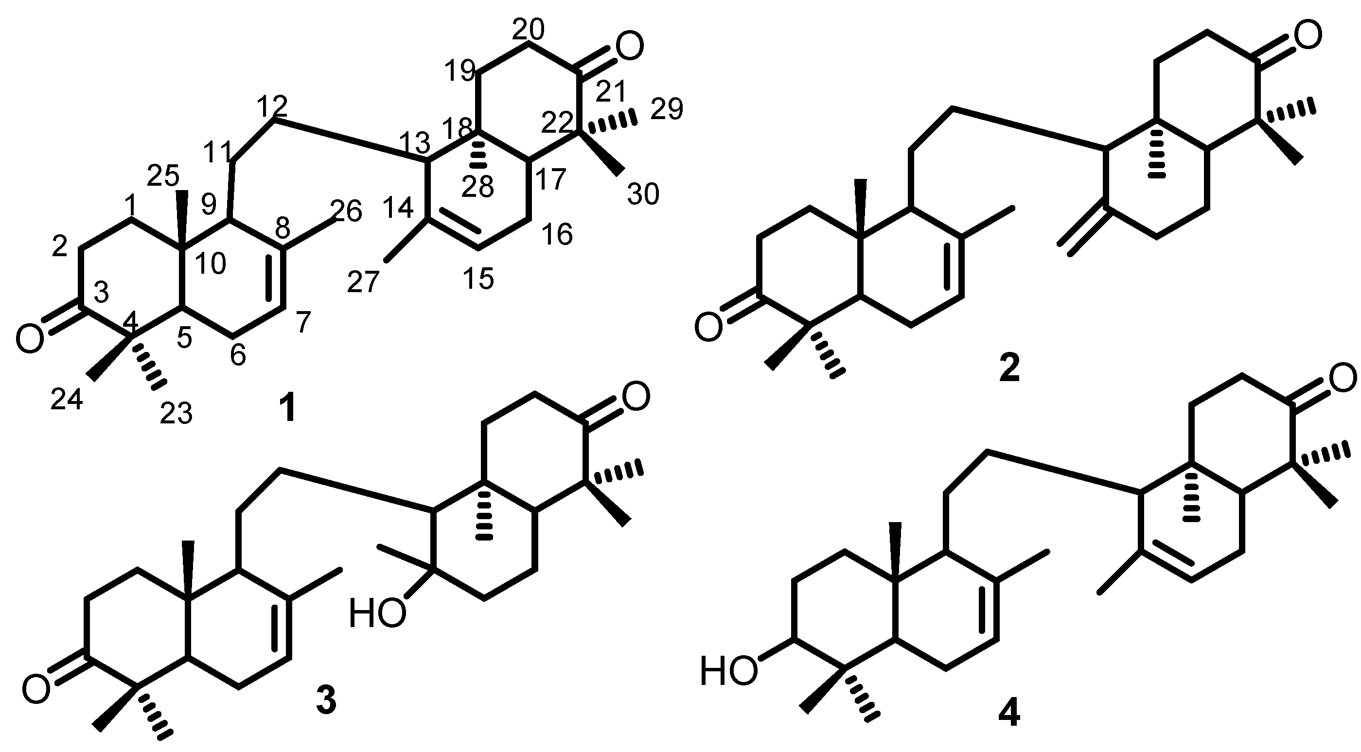Sustainability 15 02140 g001