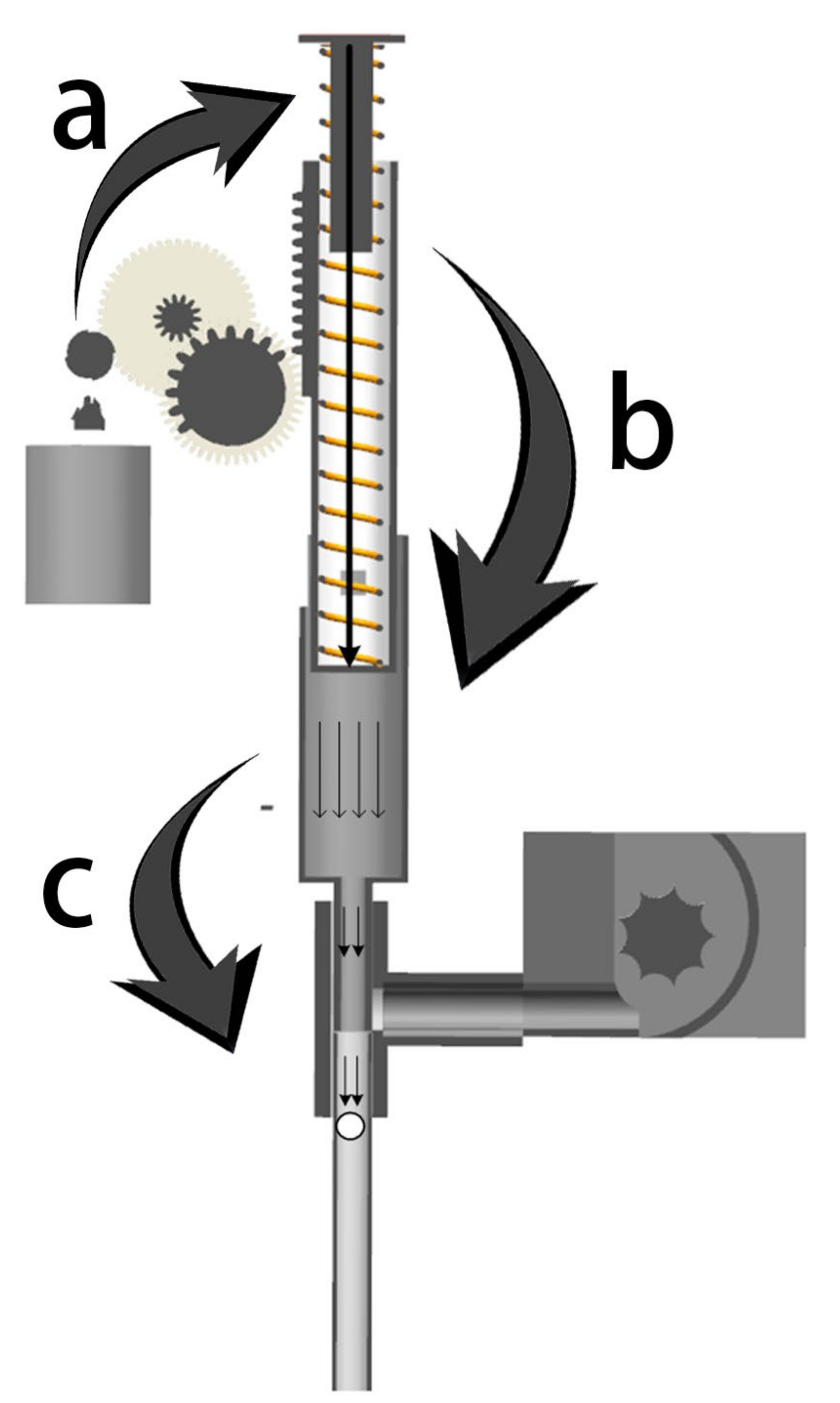 Sustainability 15 02212 g004 Sustainability 15 02212 g004