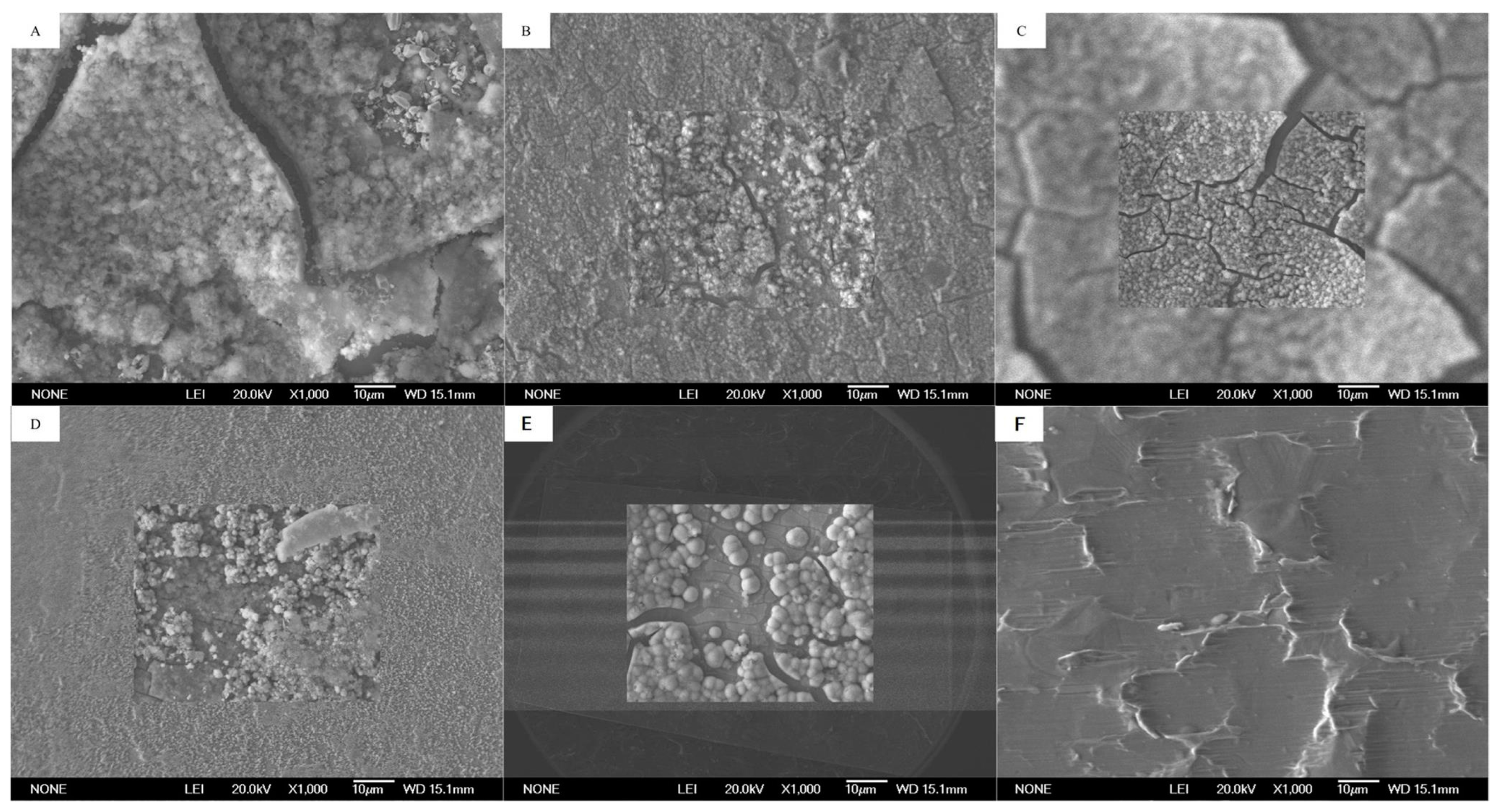 Sustainability 15 02388 g004