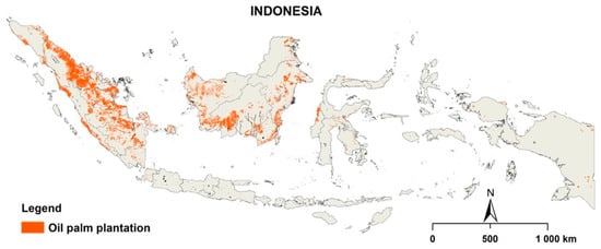 Indonesia to fine palm oil companies $310 mln for operating in